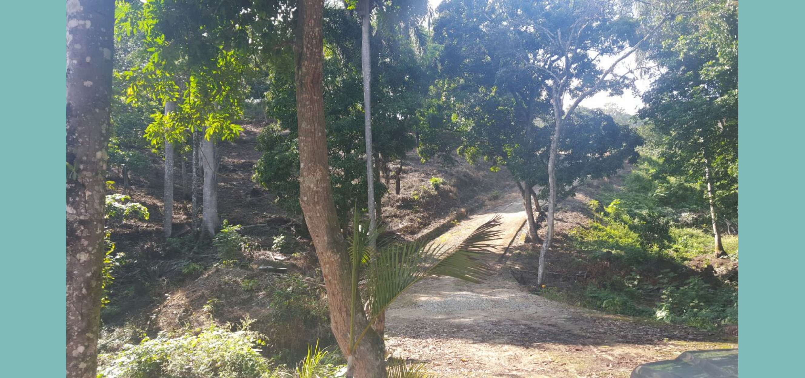 Patio2