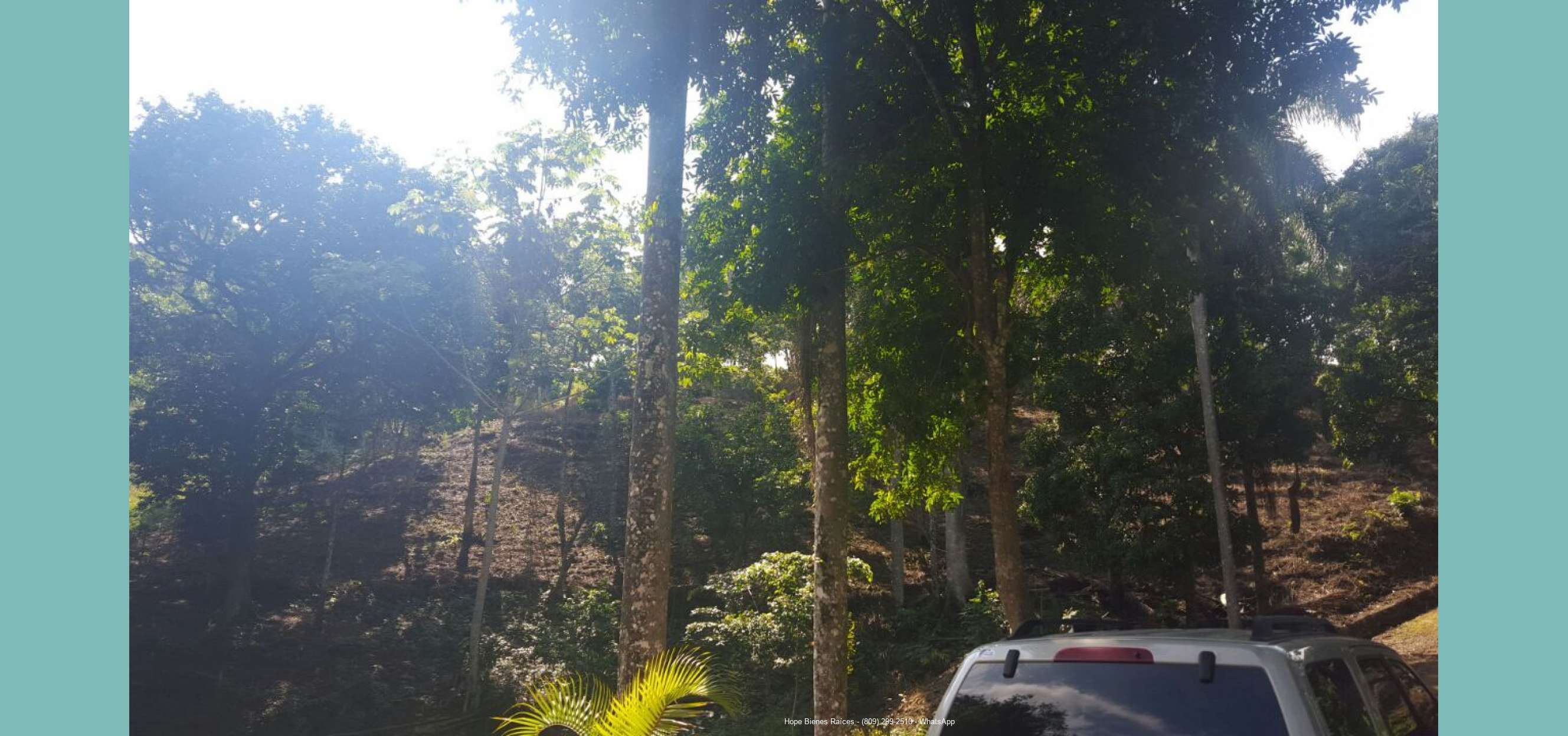Patioe3