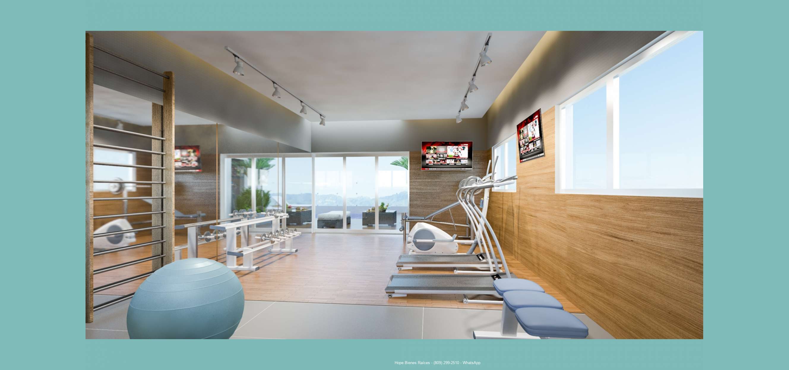 8 gym_nuevo