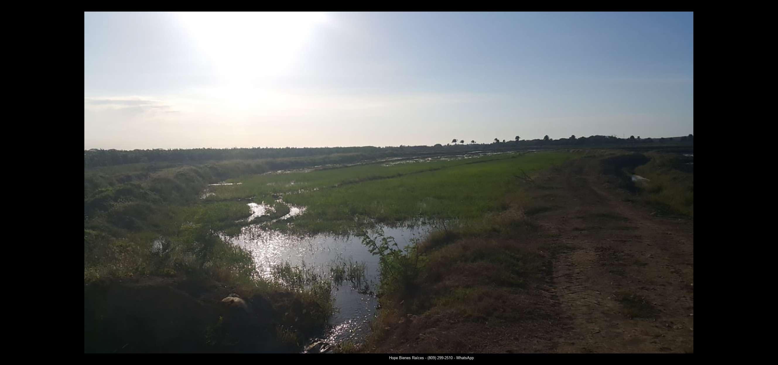 Finca 2,200 tas Montecristi3