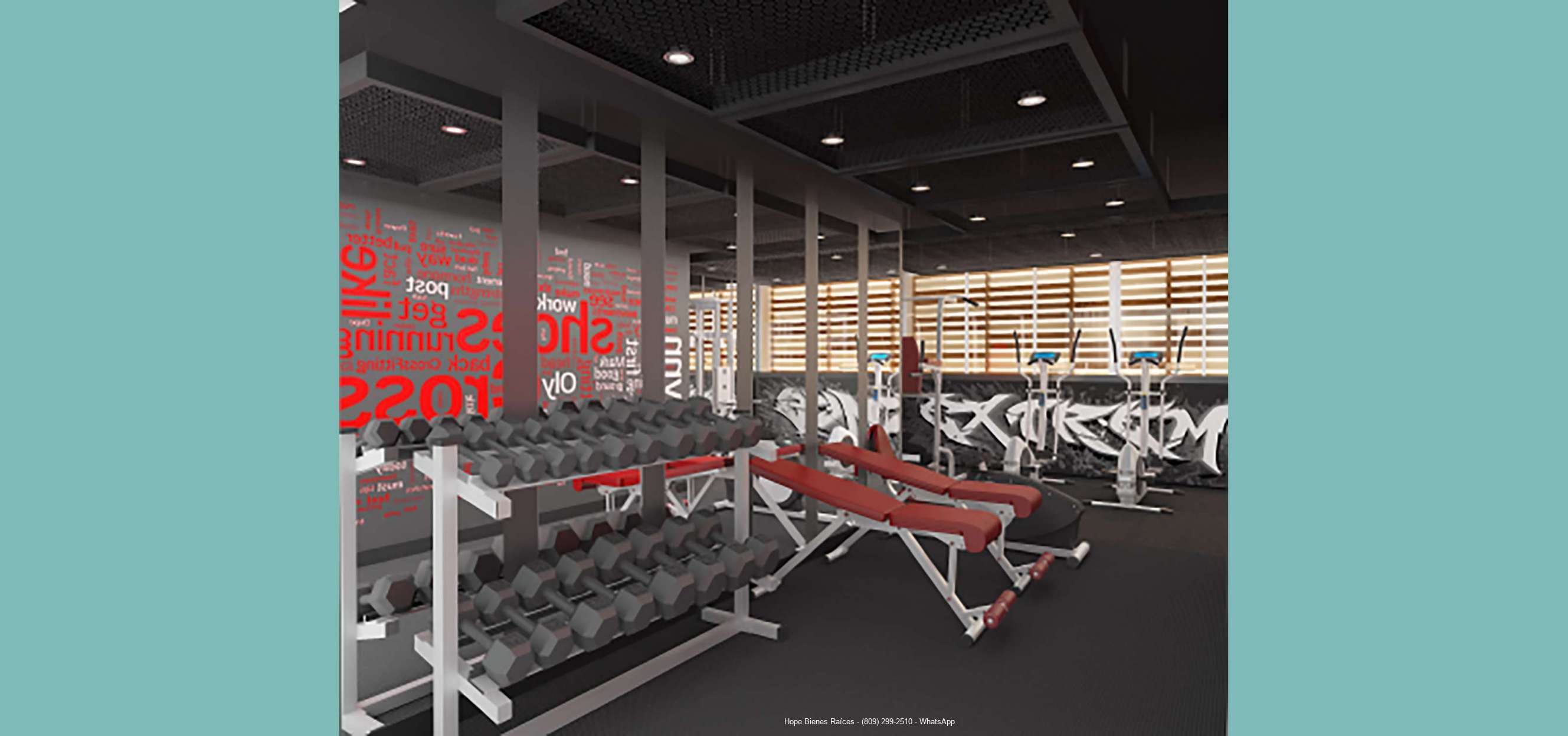 11-Gimnasio