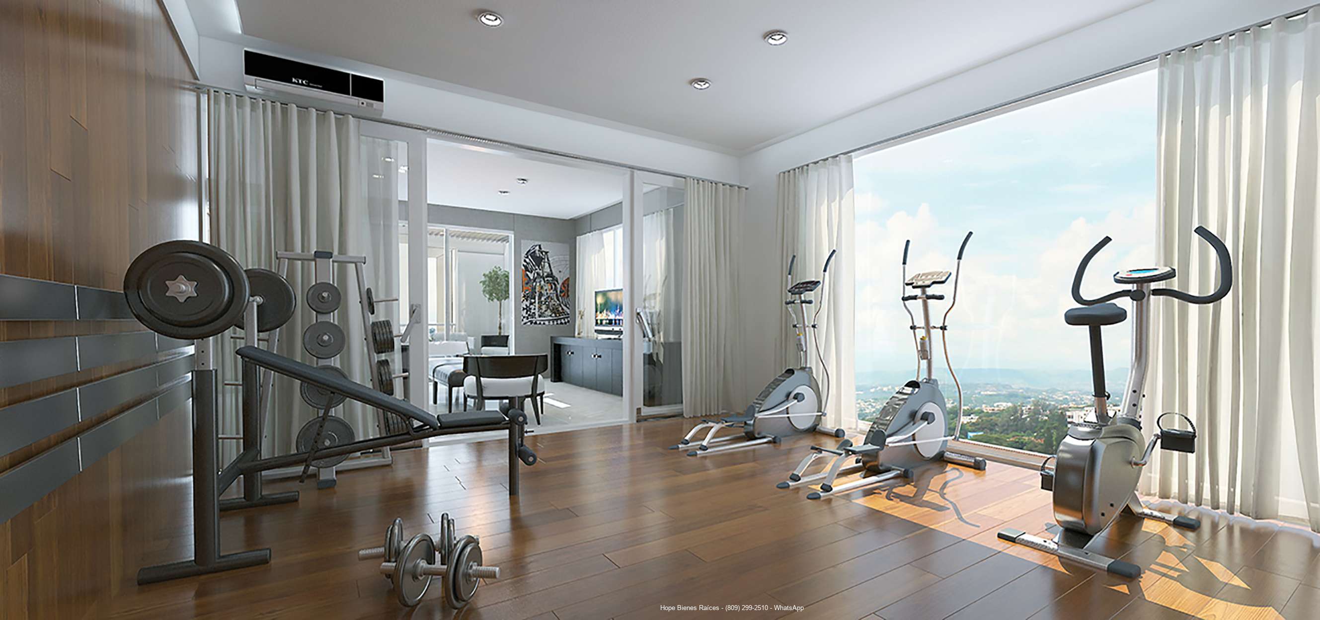 7Gimnasio