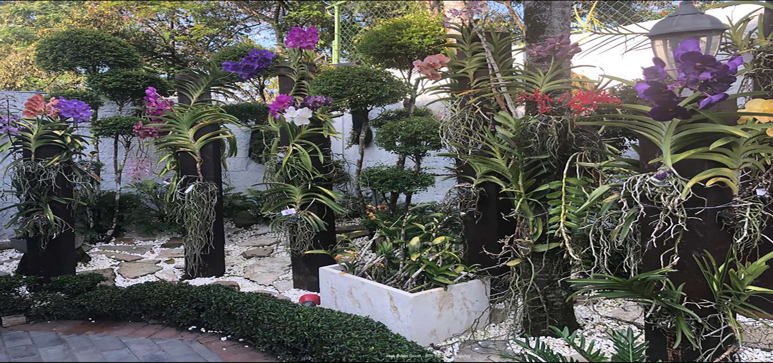 16-Precioso Jardin 2