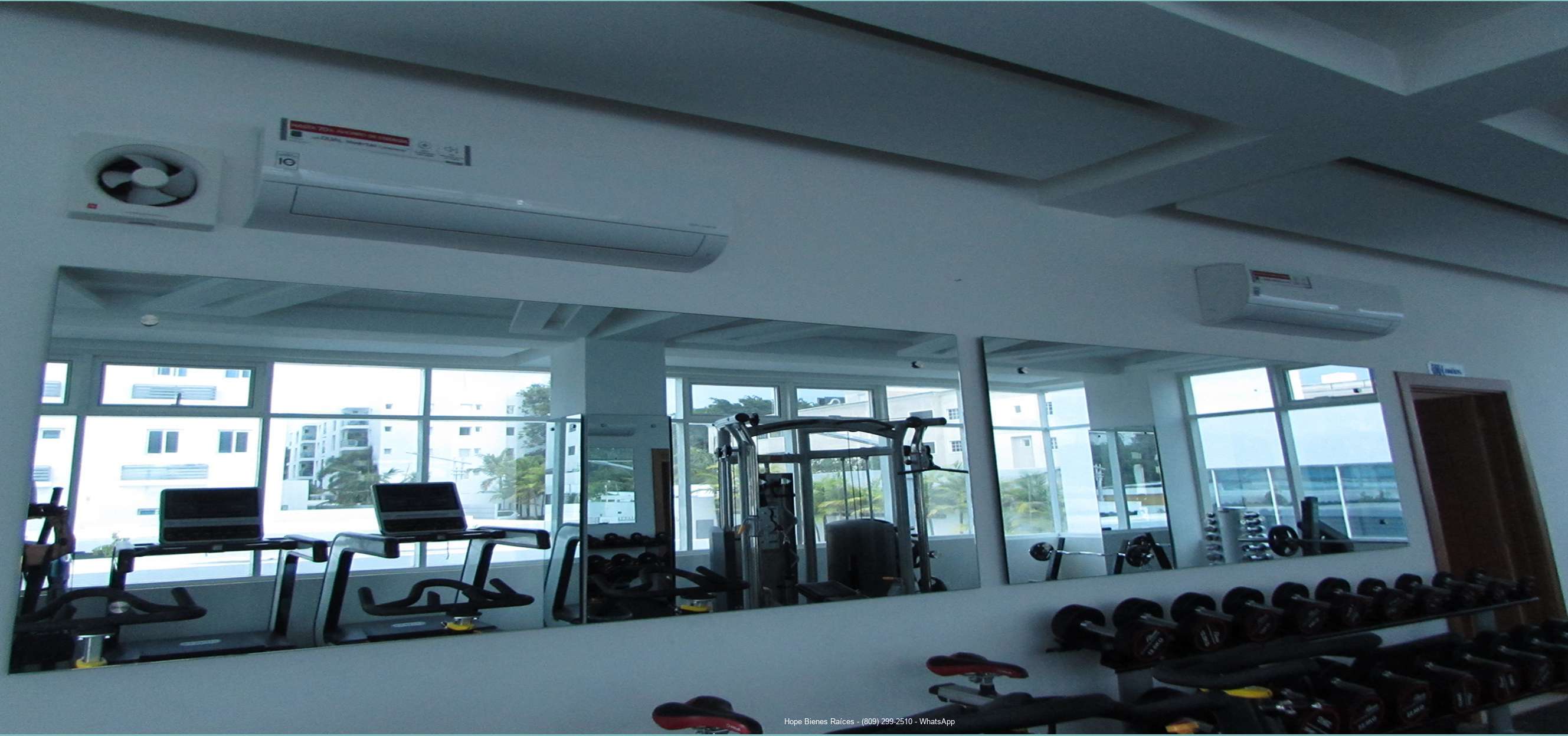 Gimnasio a:c