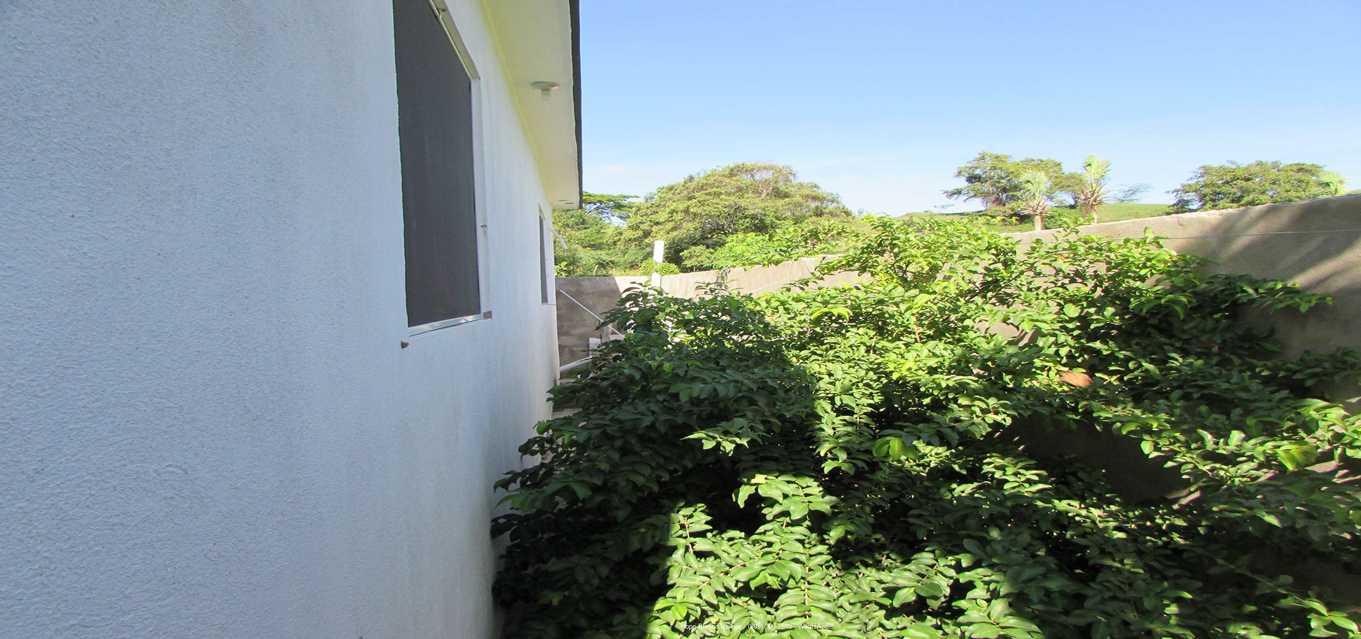17-Patio-Cereza