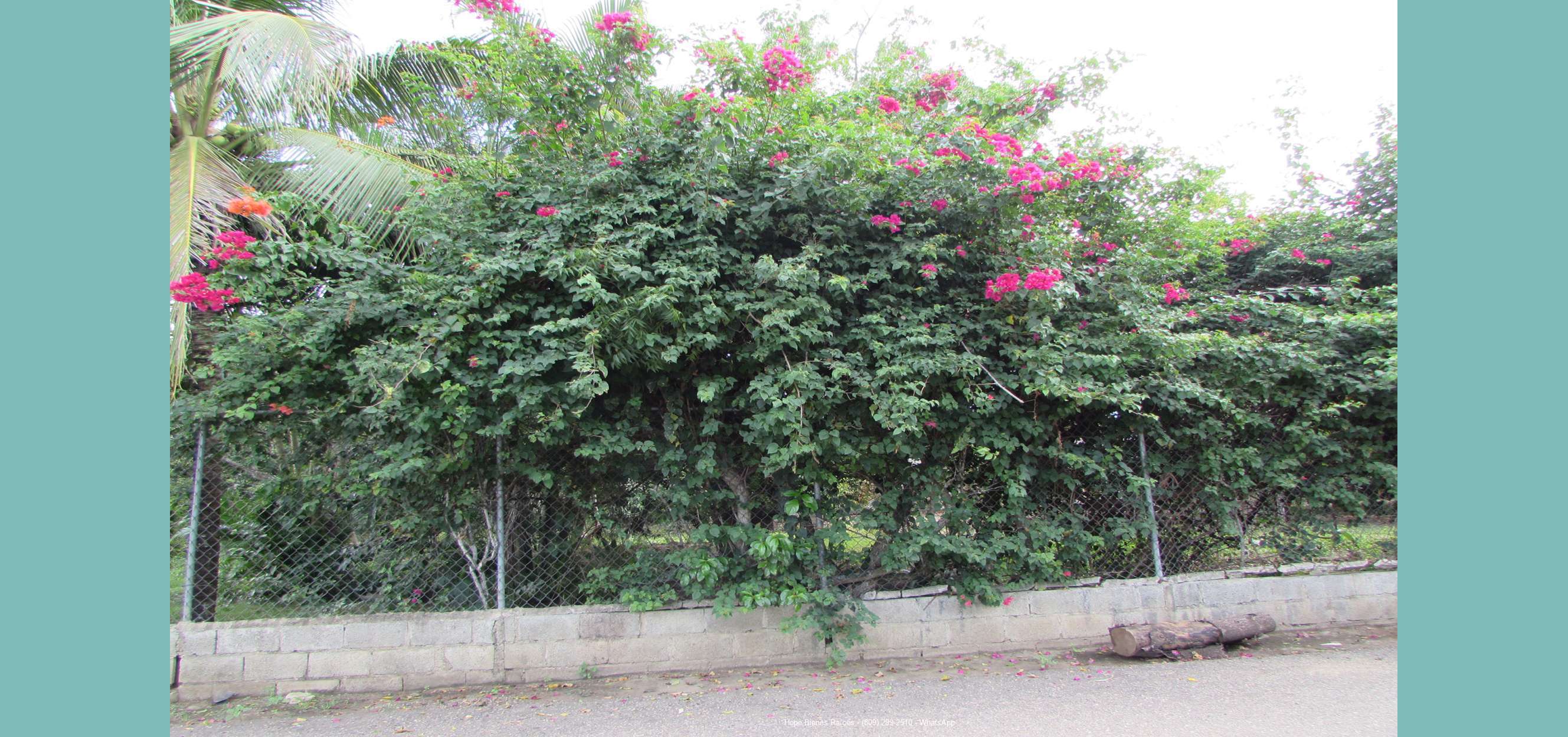 Terreno Puñal