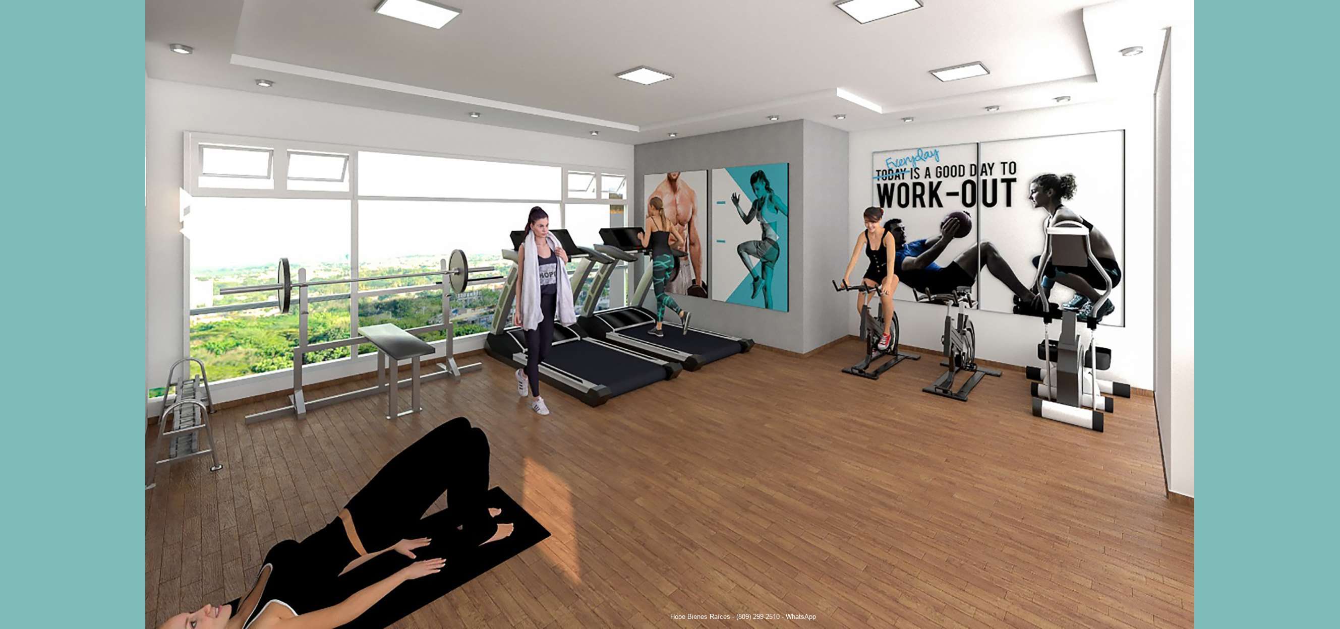 6Gimnasio