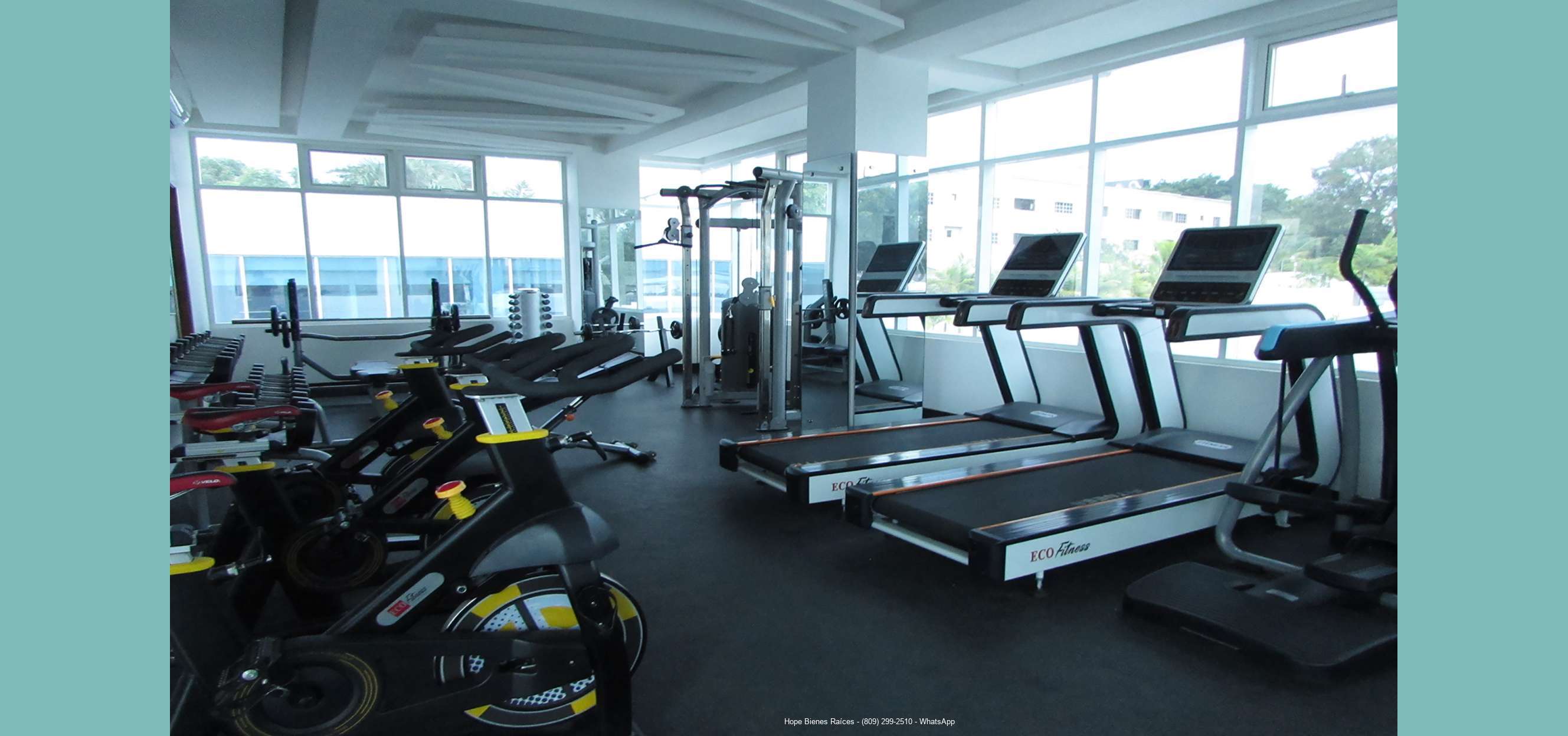 Gimnasio 2