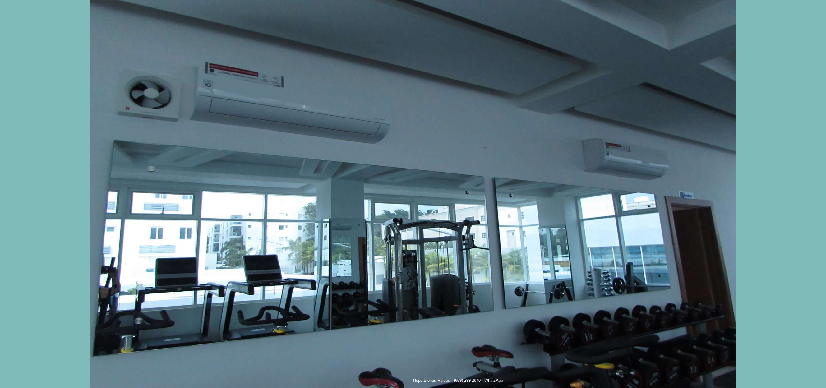 Gimnasio a:c