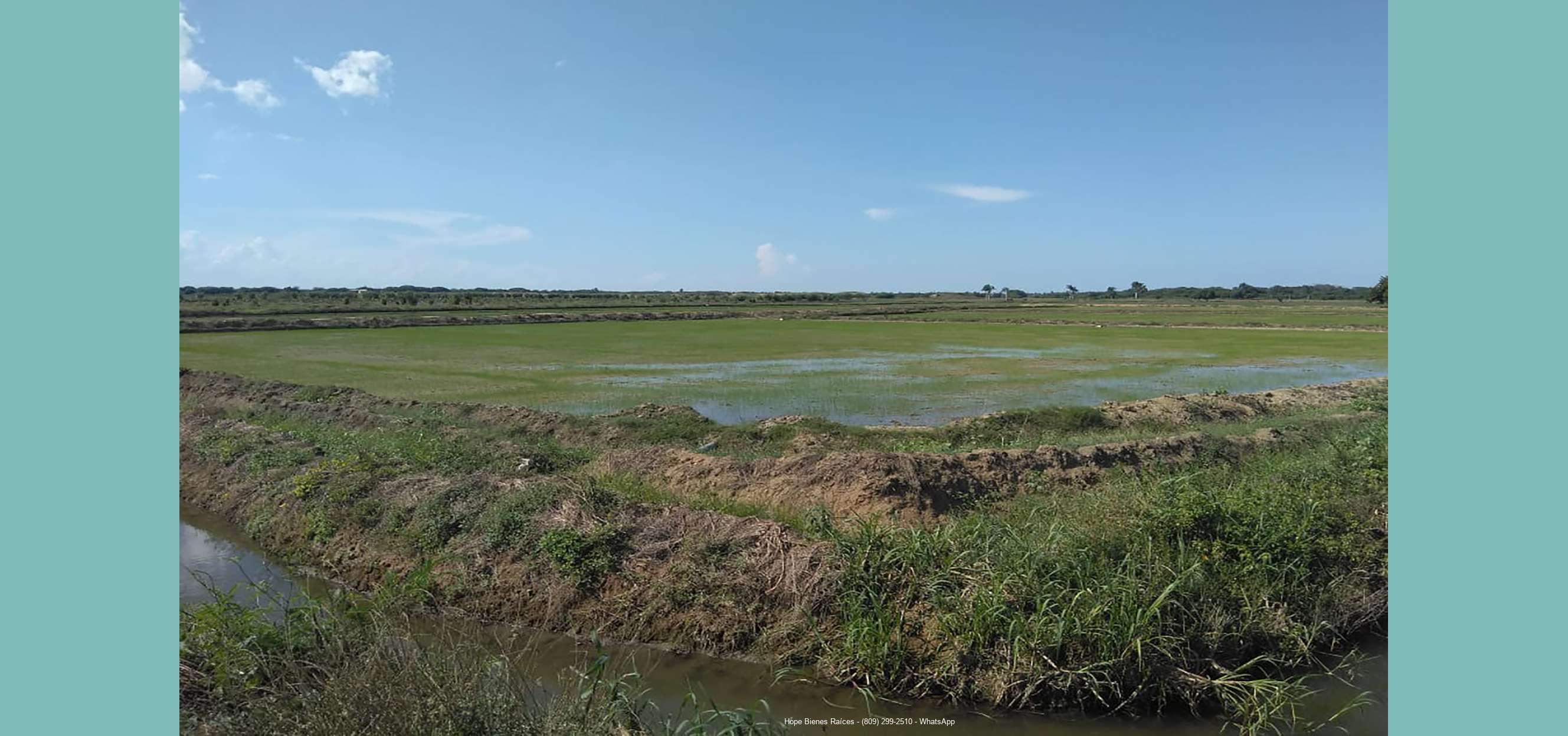 Finca HF 1500ts arroz2