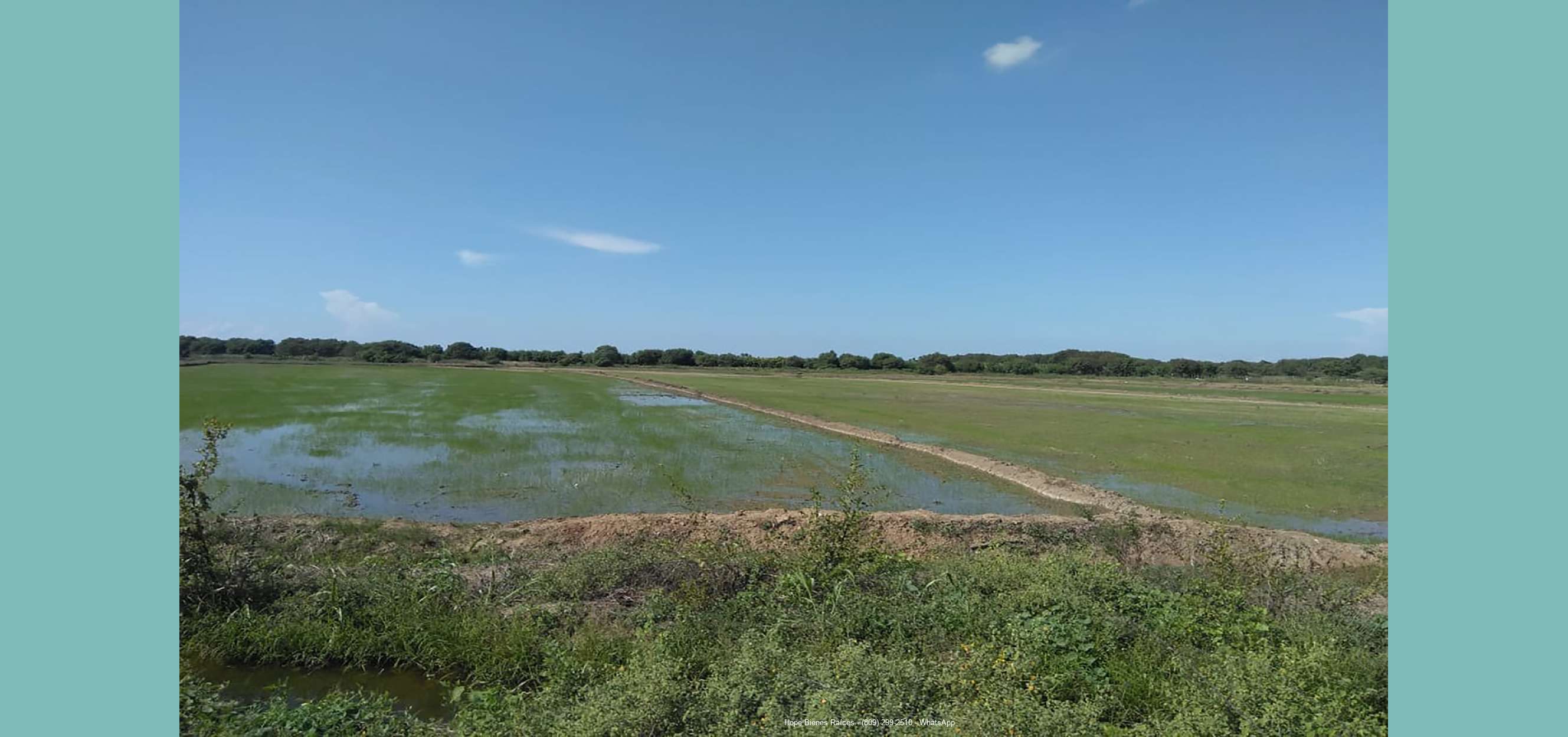 Finca HF 1500ts arroz3 siempre hay agua