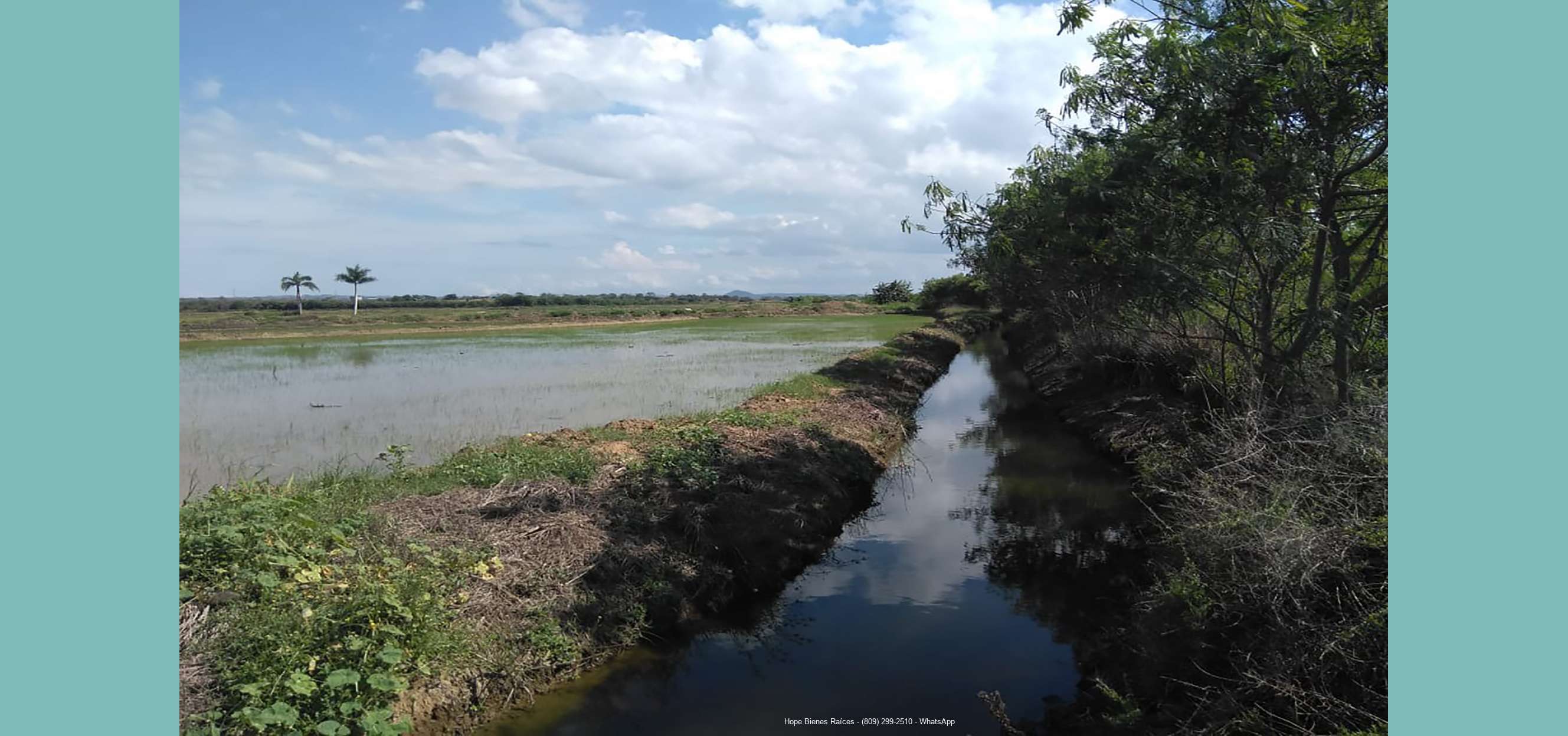Finca HF 1500ts arroz4 canales por todos lados