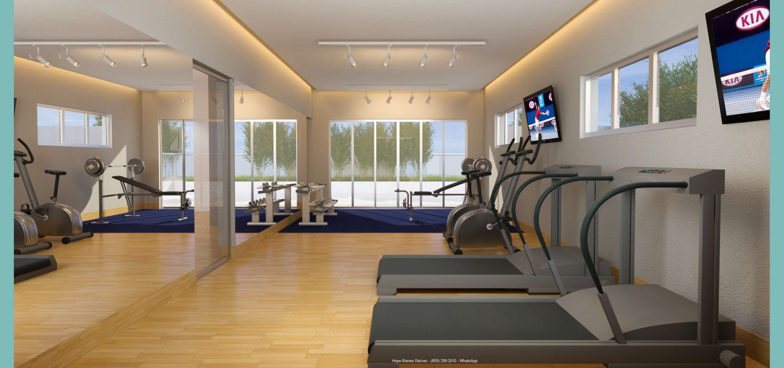 GIMNASIO