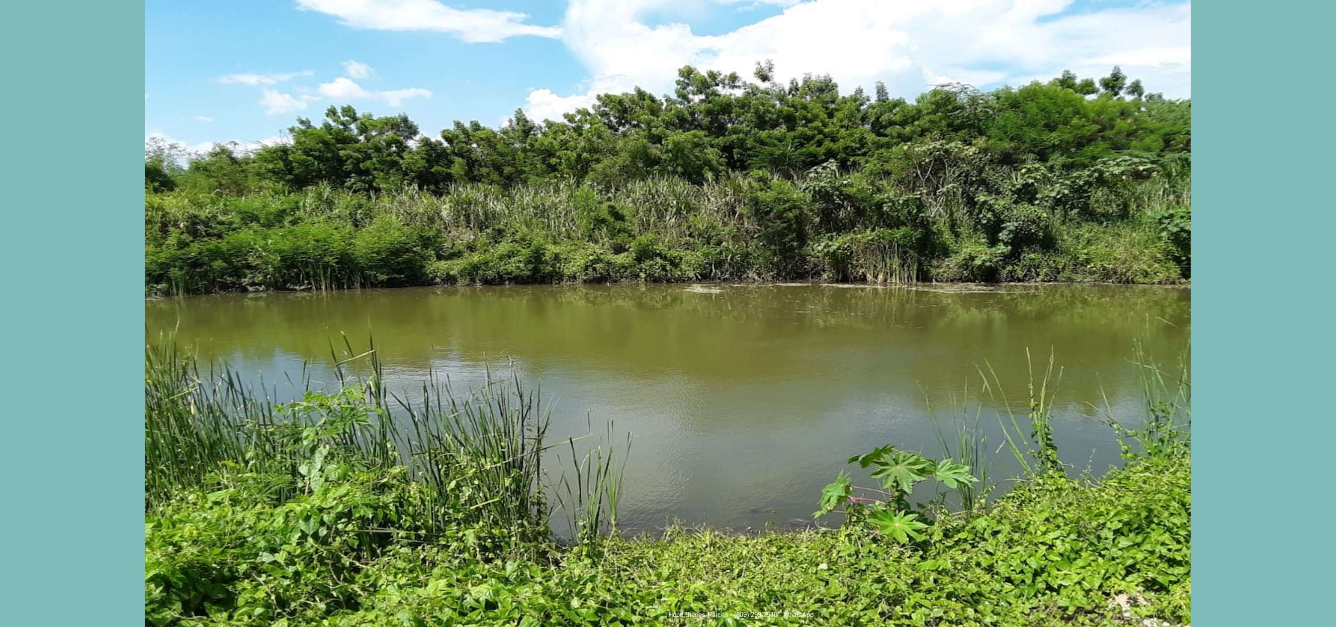 Finca bananos orgánicos -agua abundante