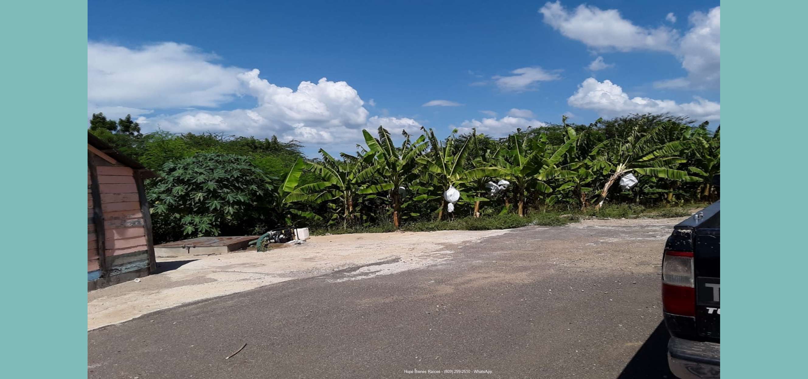 Finca de bananos orgánicos - extracción agua