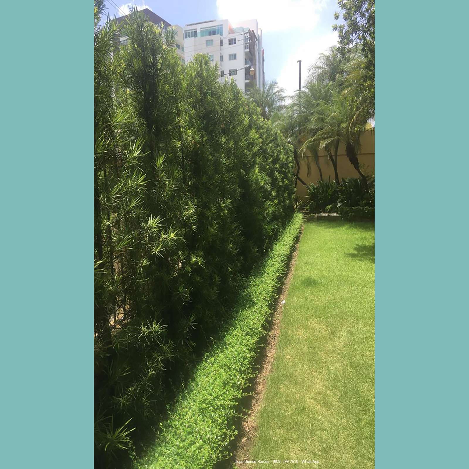 Jardin