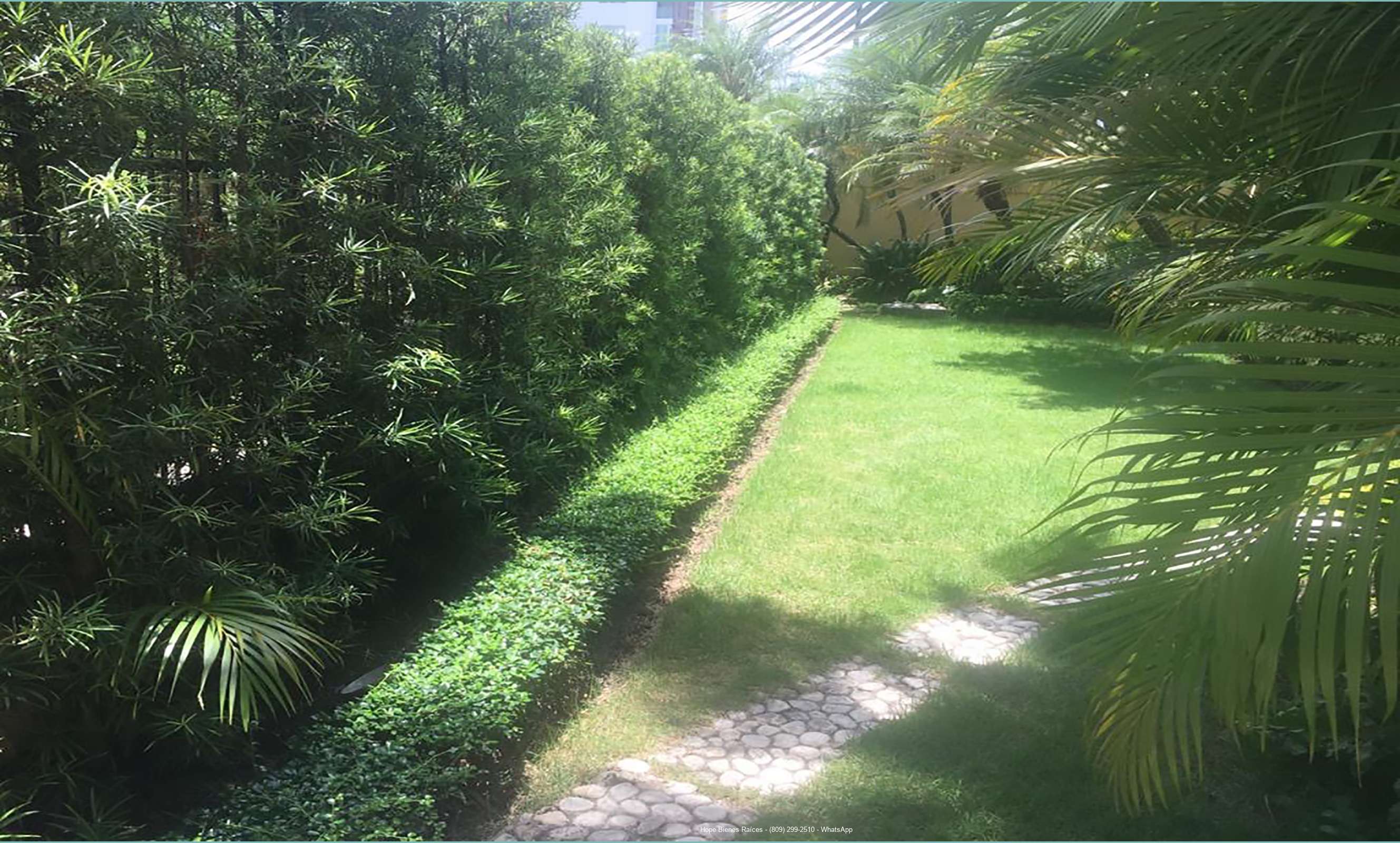 Patio frontal
