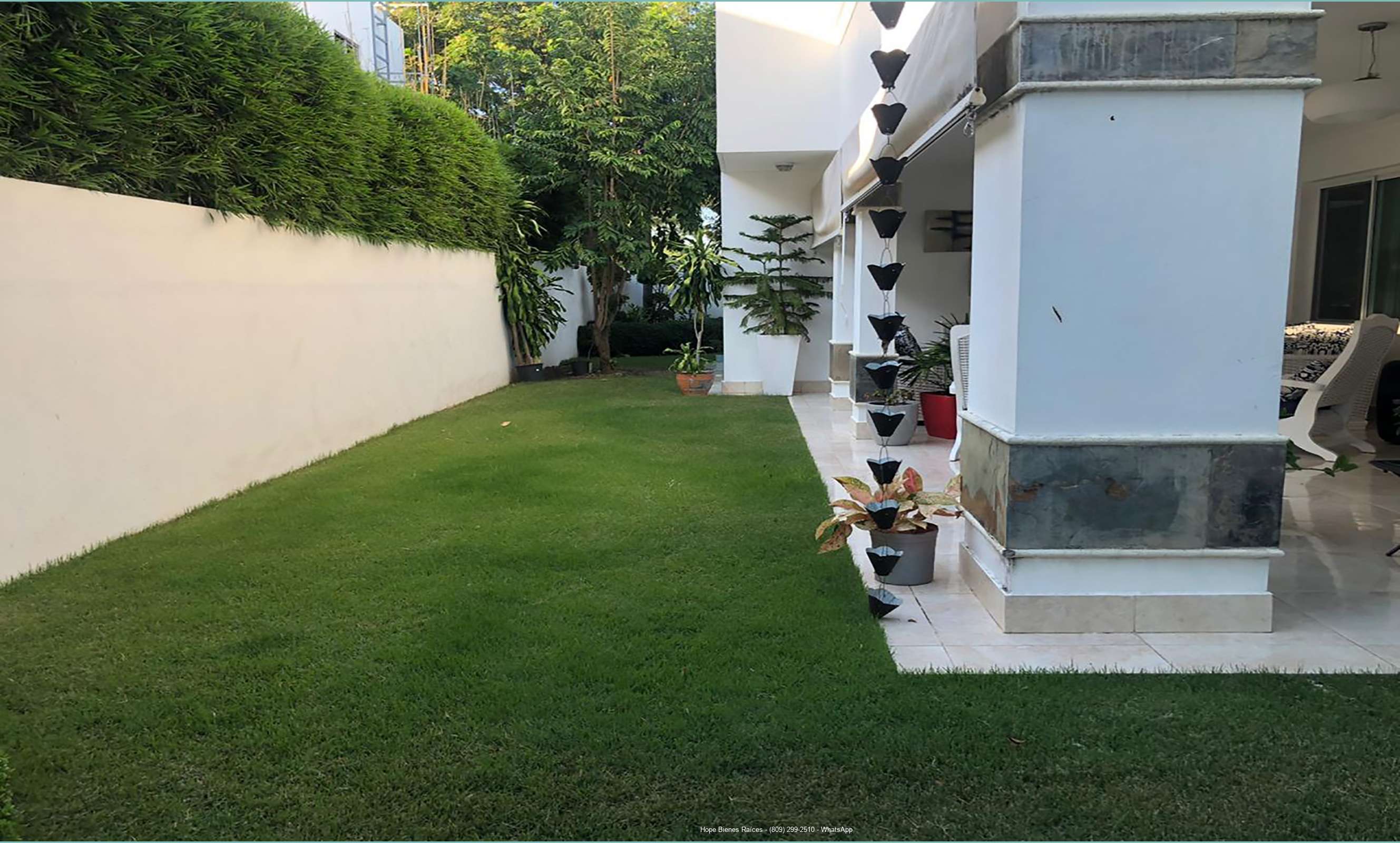 Patio 2