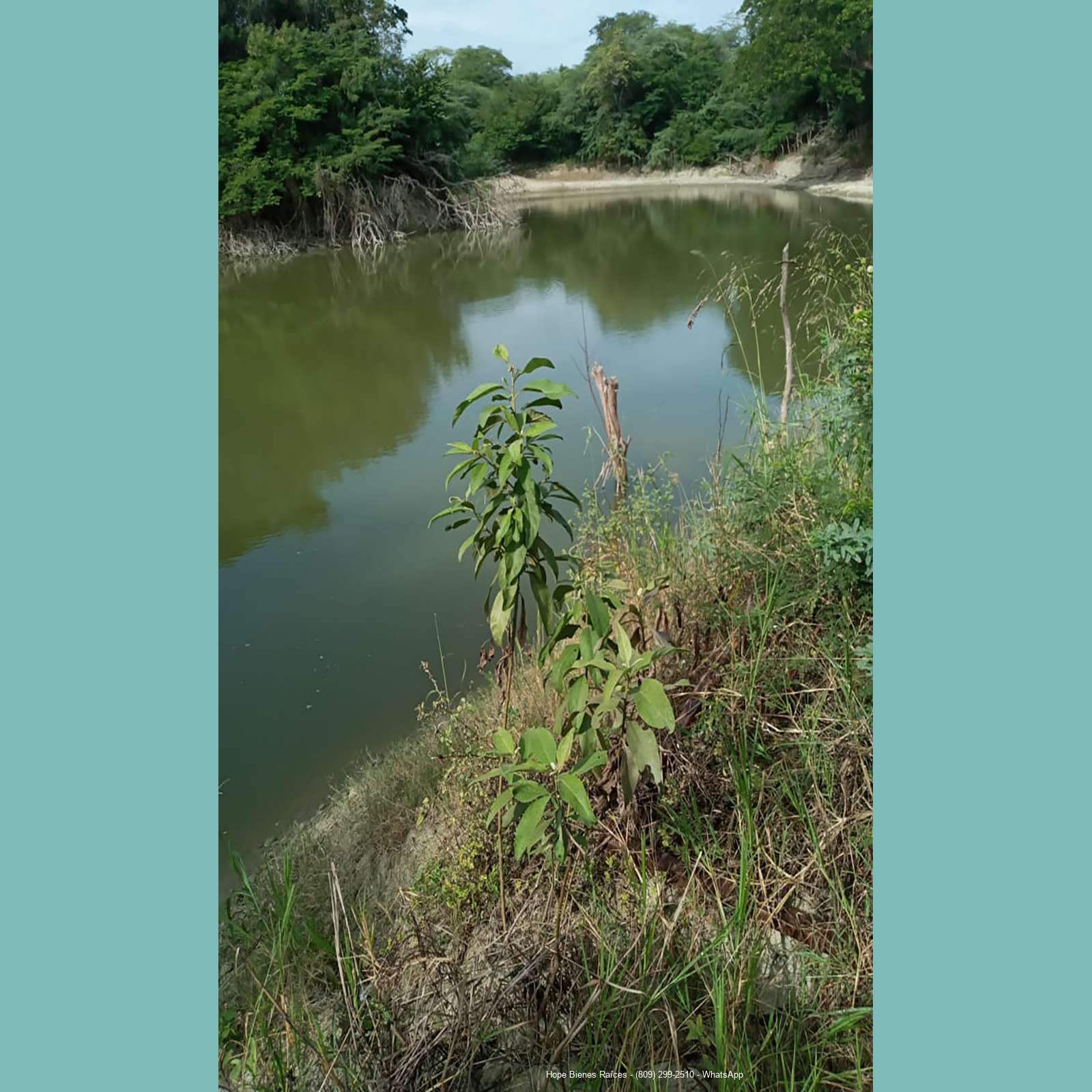 Abundante agua