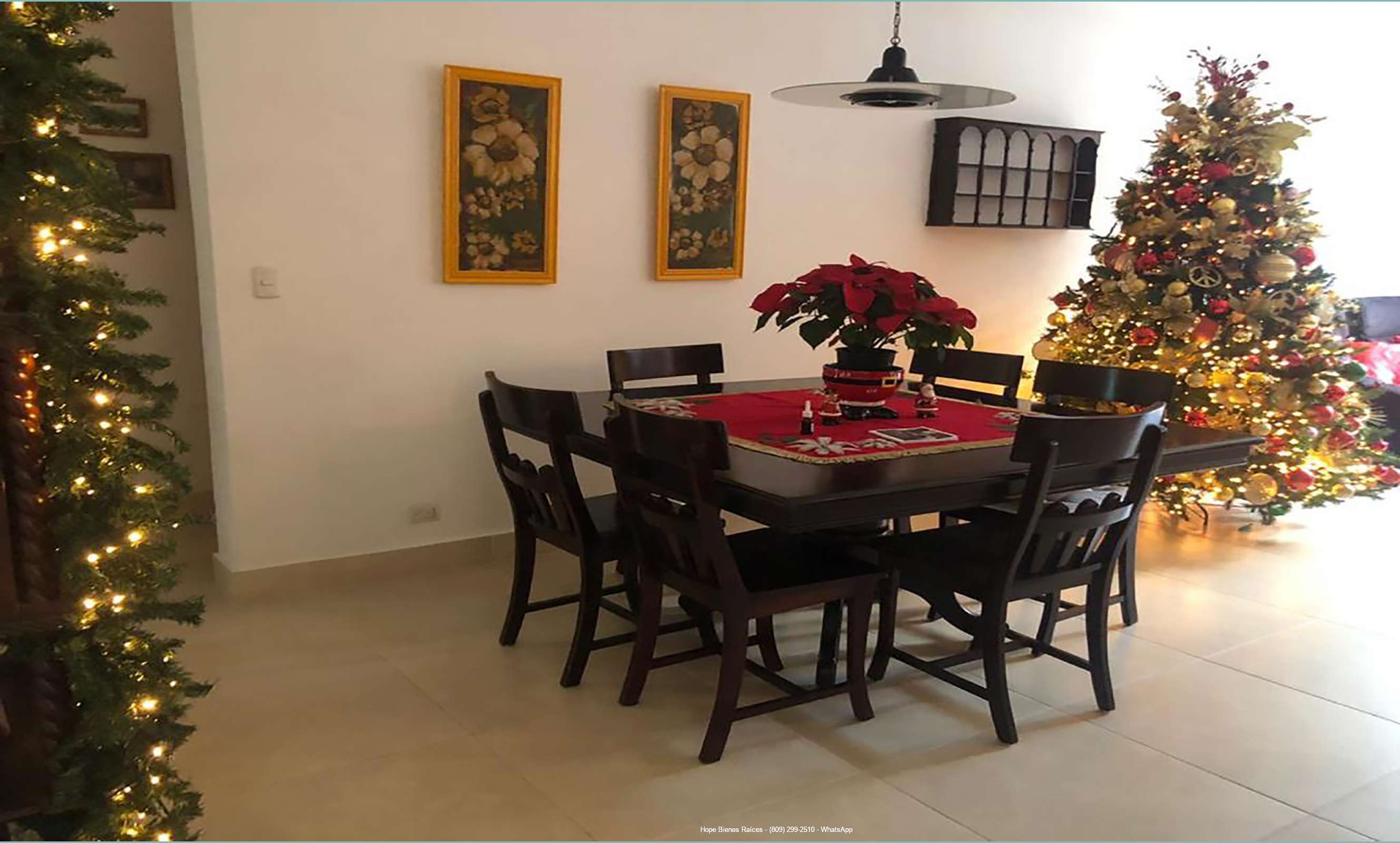 Comedor 2