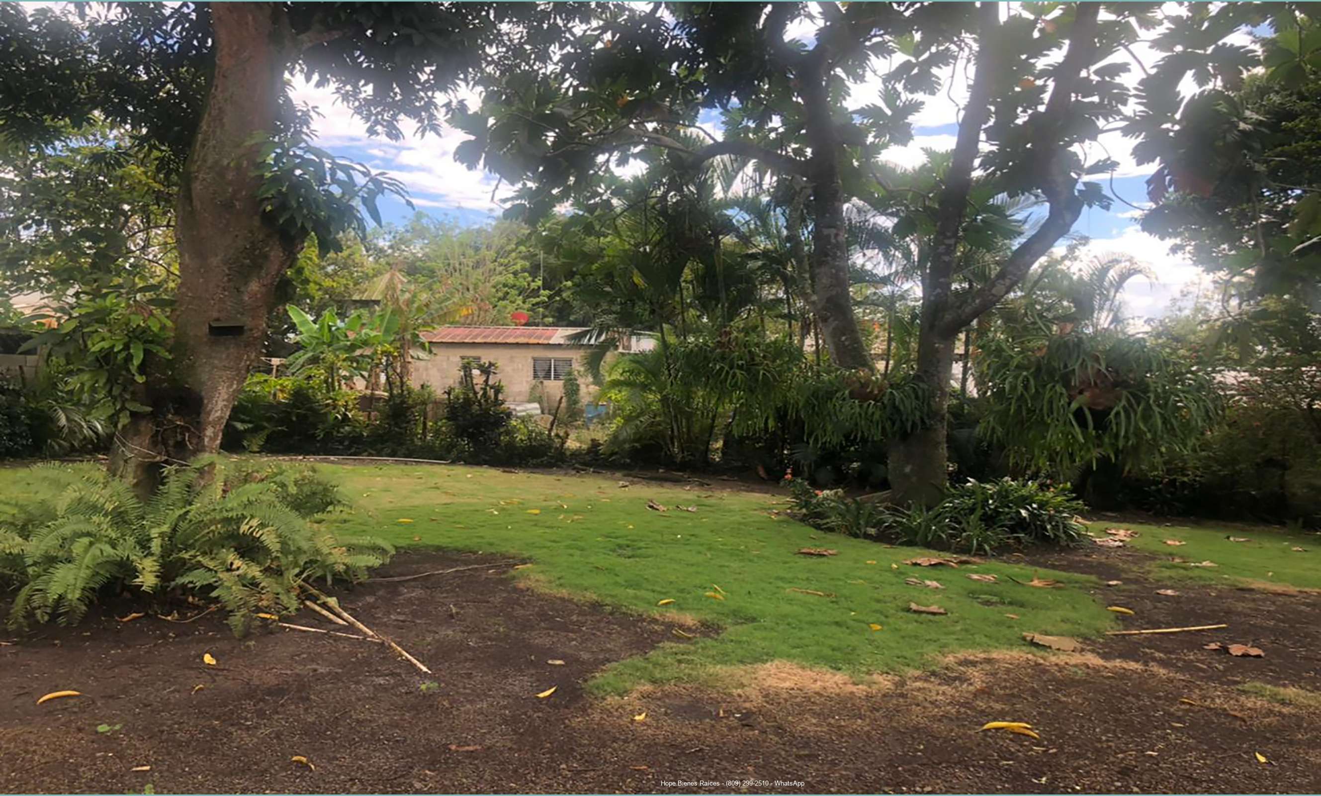 Patio trasero
