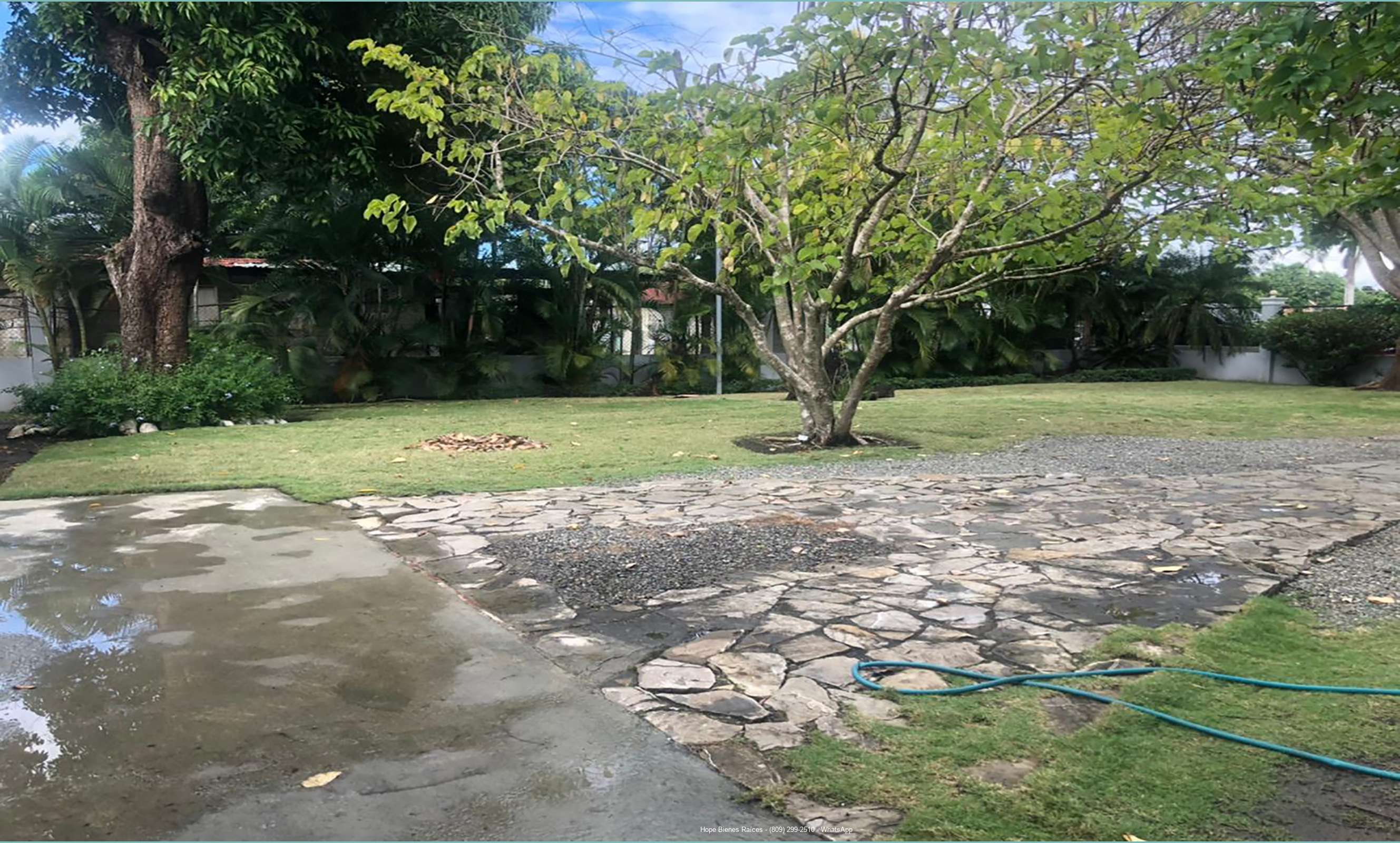 Patio trasero 2