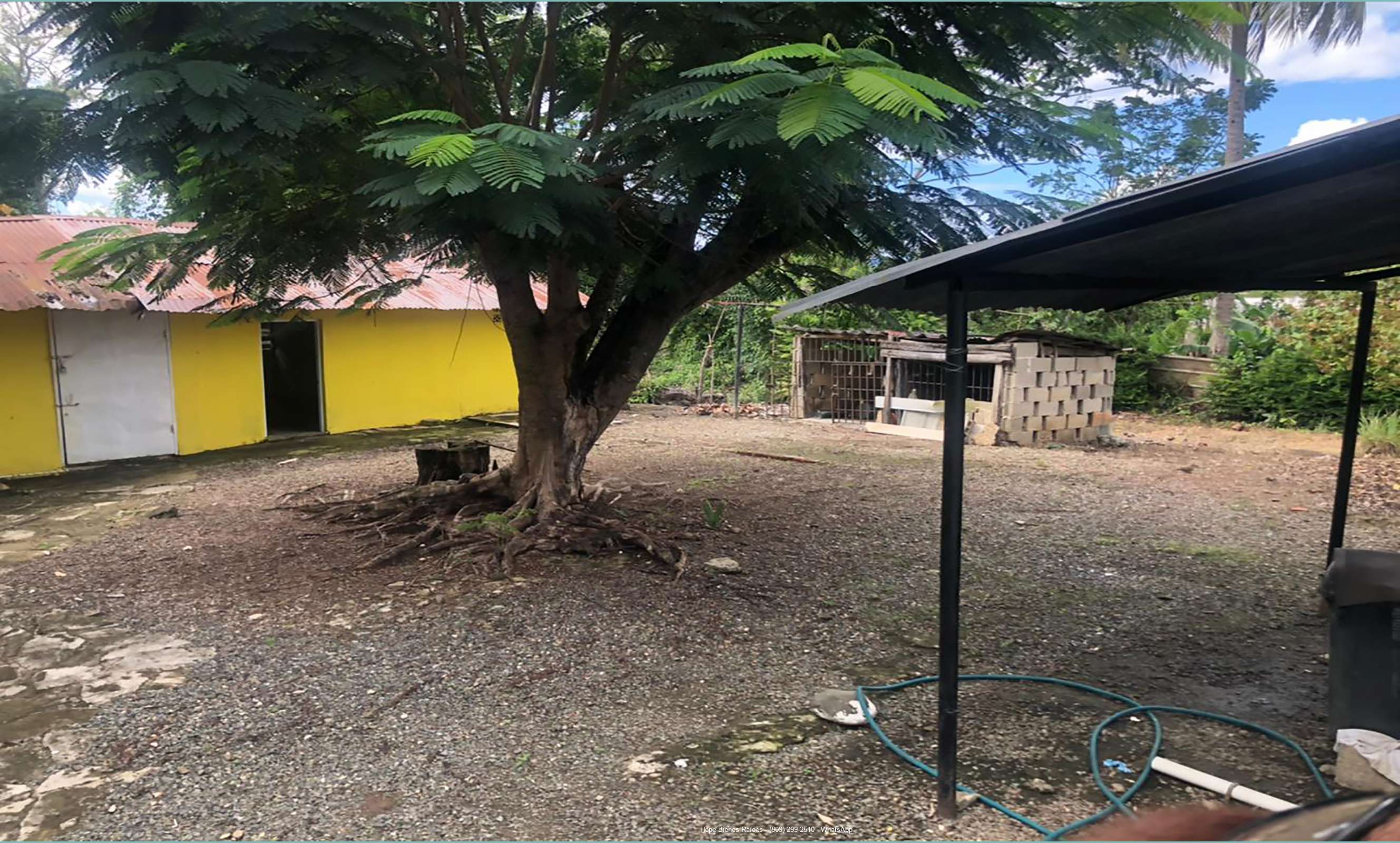 Patio trasero con galpón