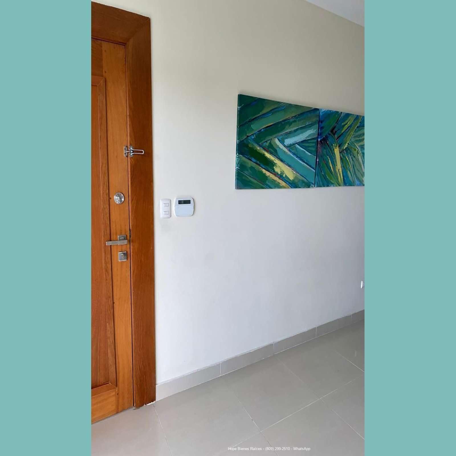 Puerta entrada electrónica