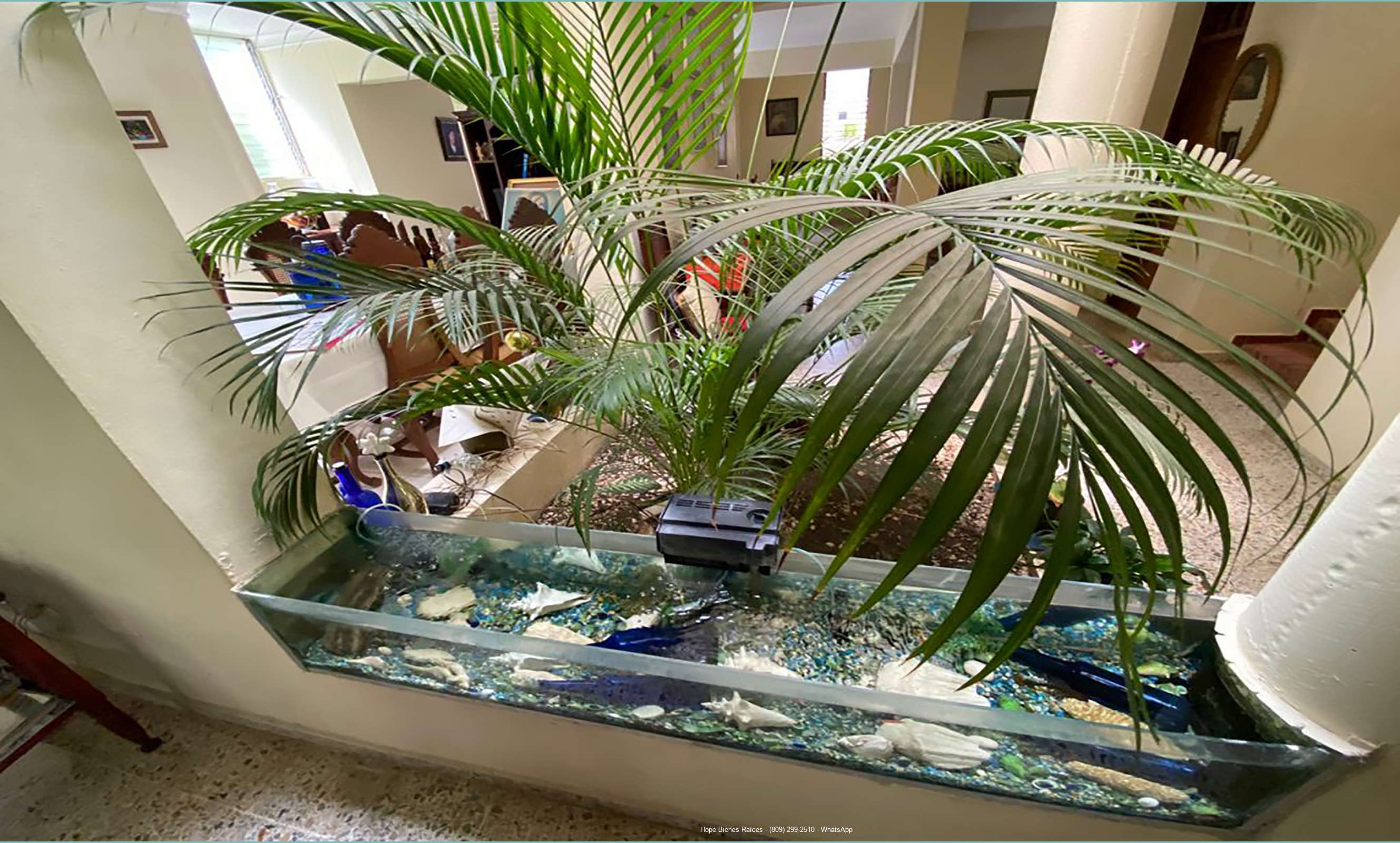 Jardin interior 2