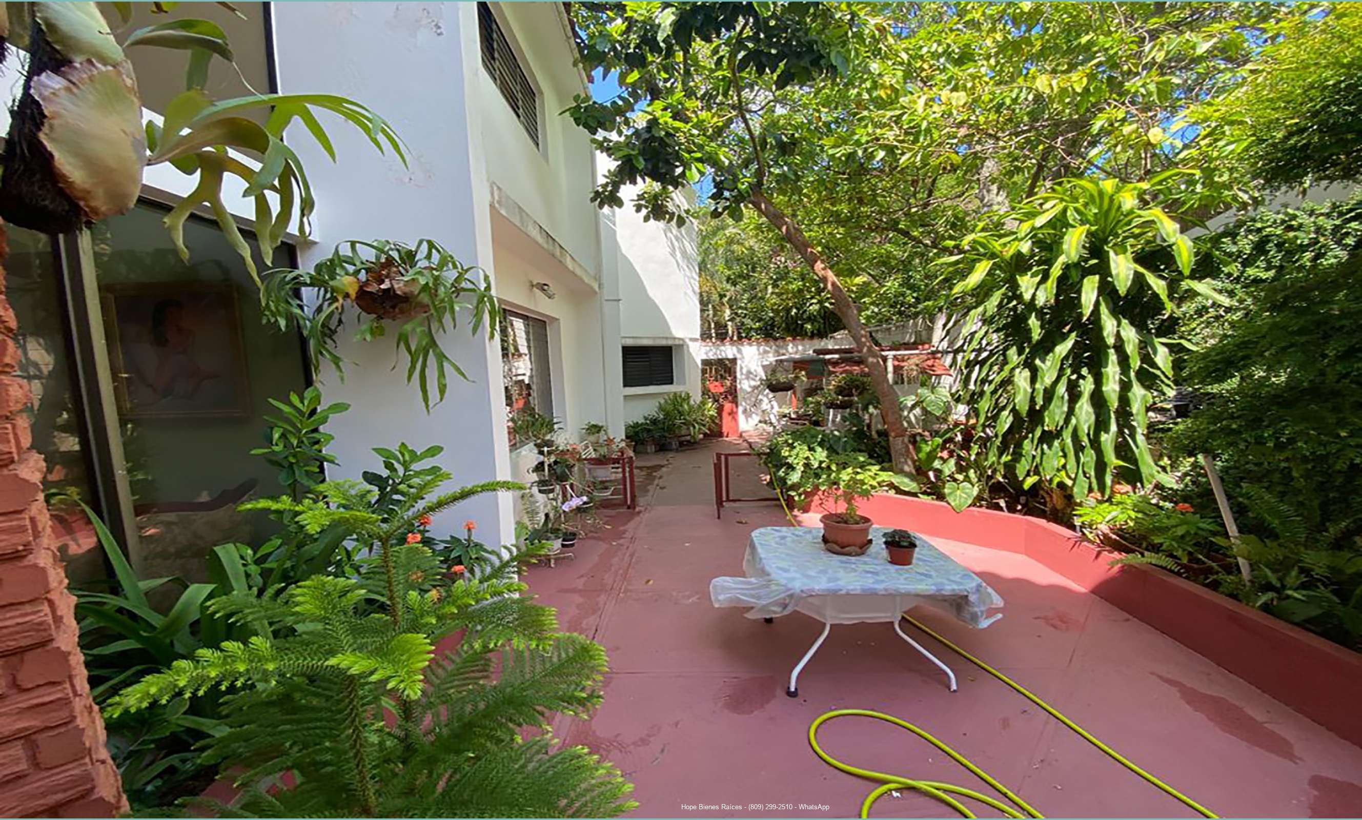 Patio 4