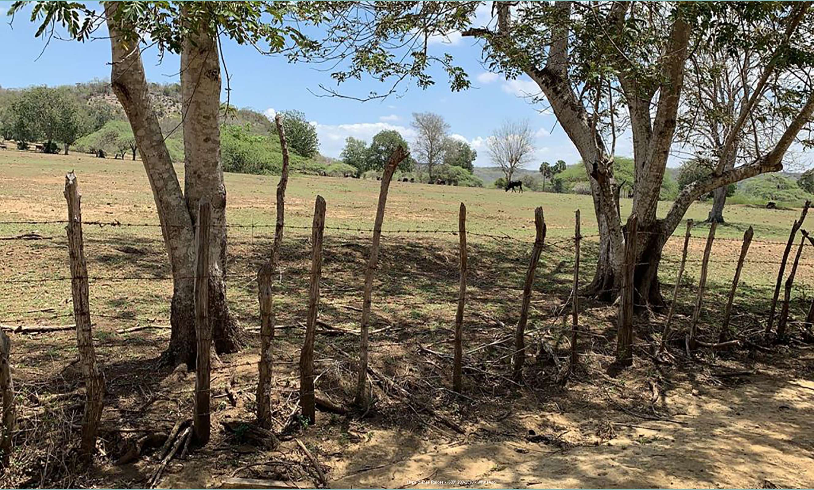 Finca en Montecristi