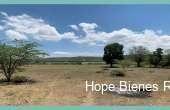 HBR584, Vendo Varias Fincas de Producción en Montecristi