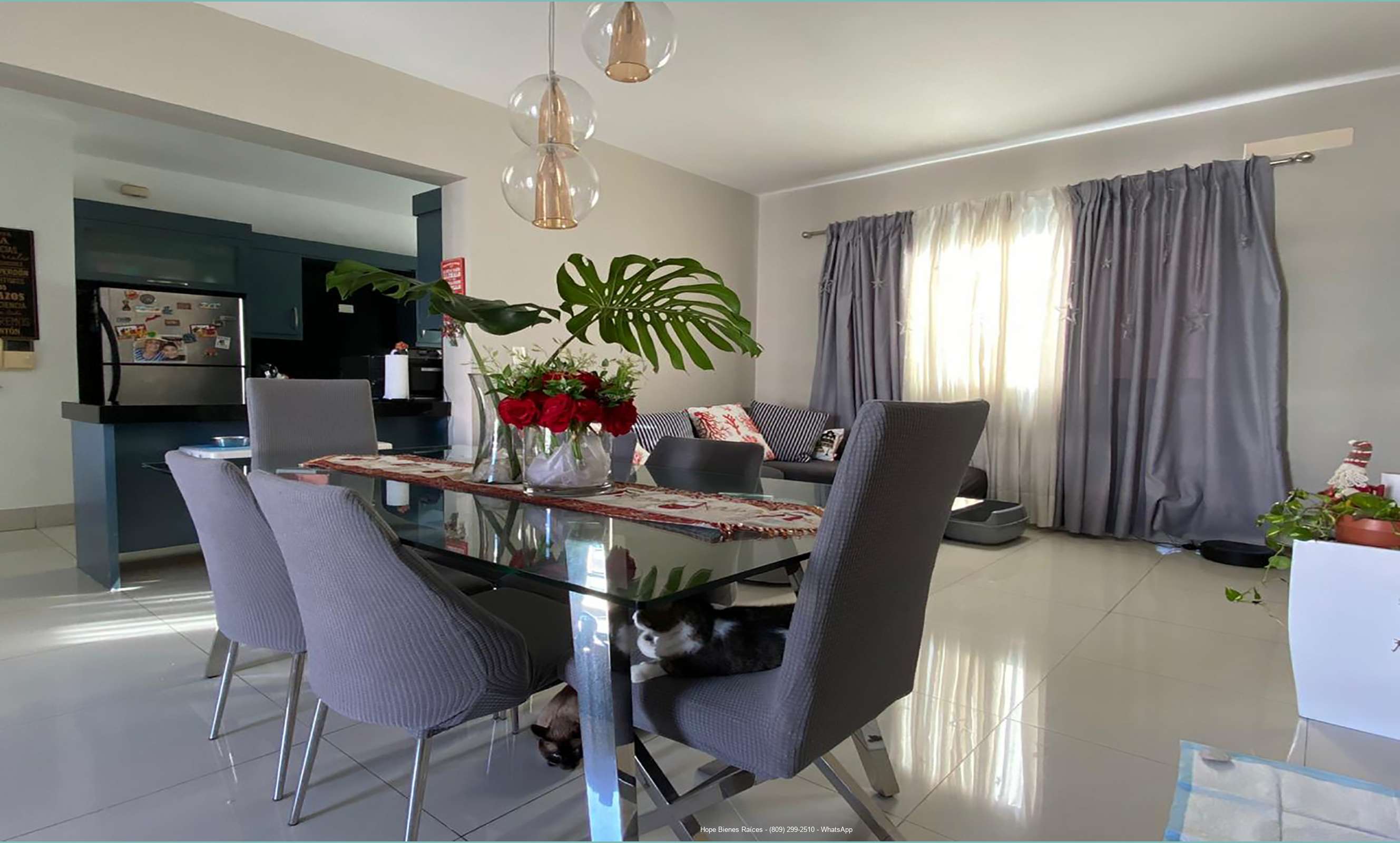 Comedor