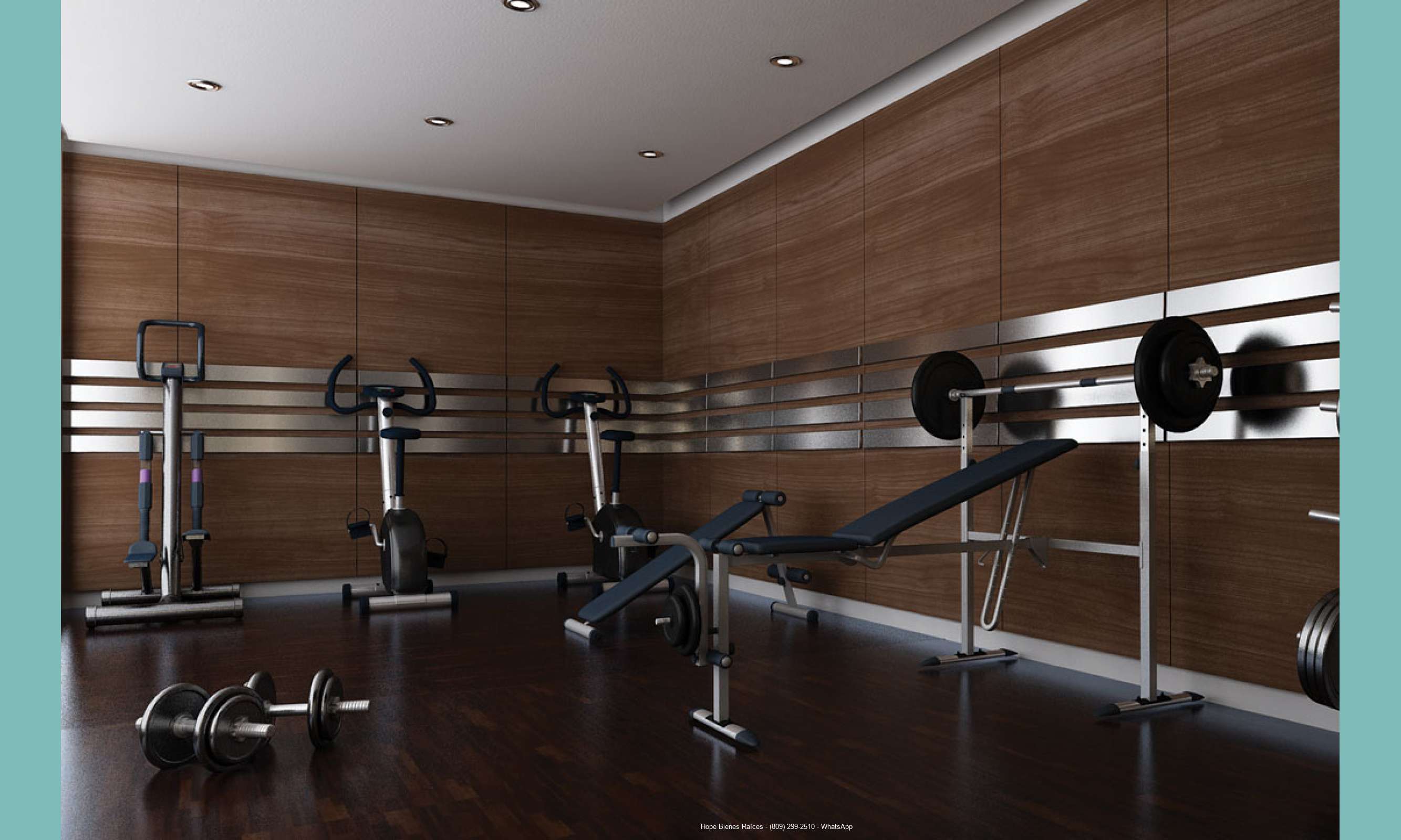 gimnasio