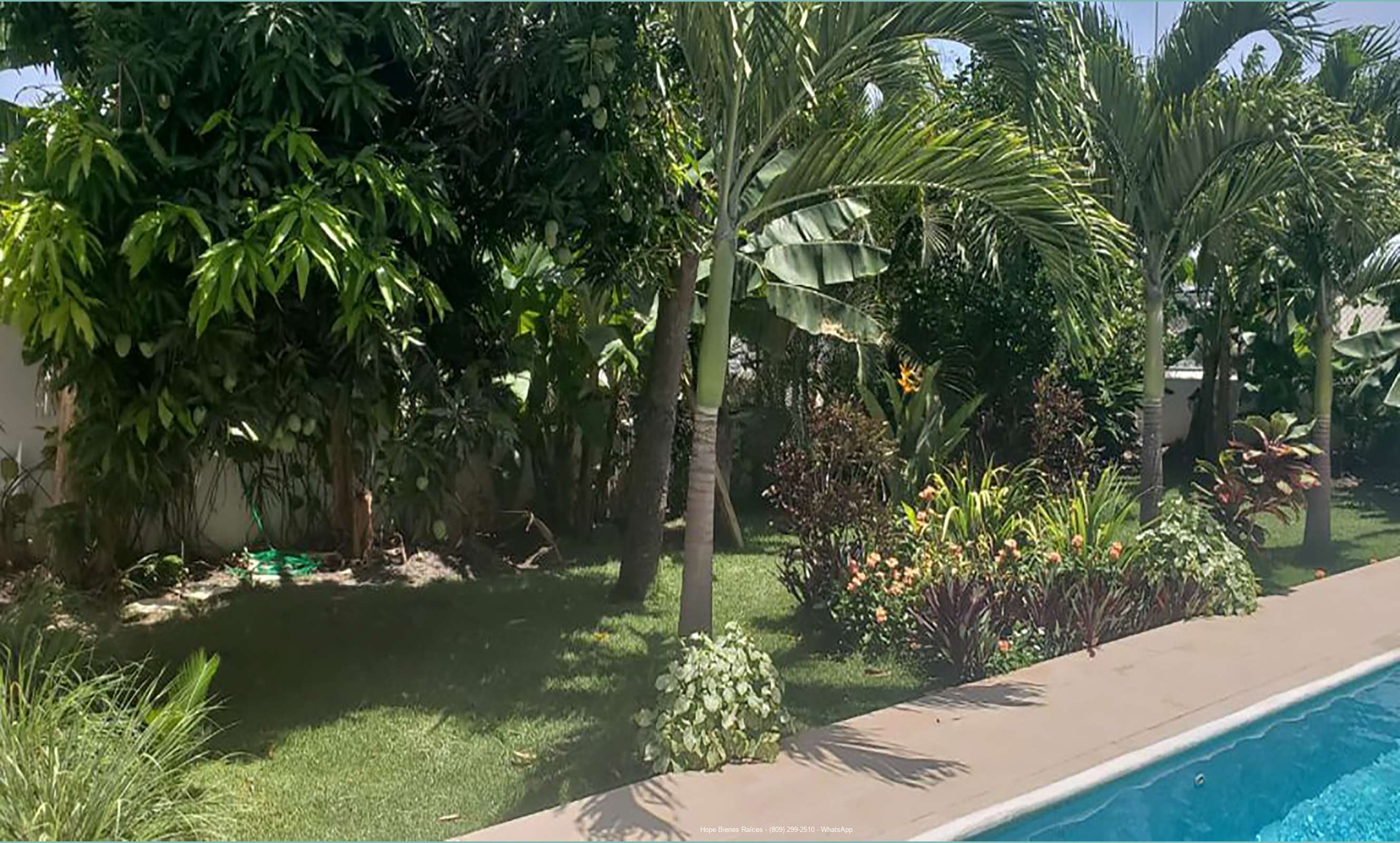 Patio 2