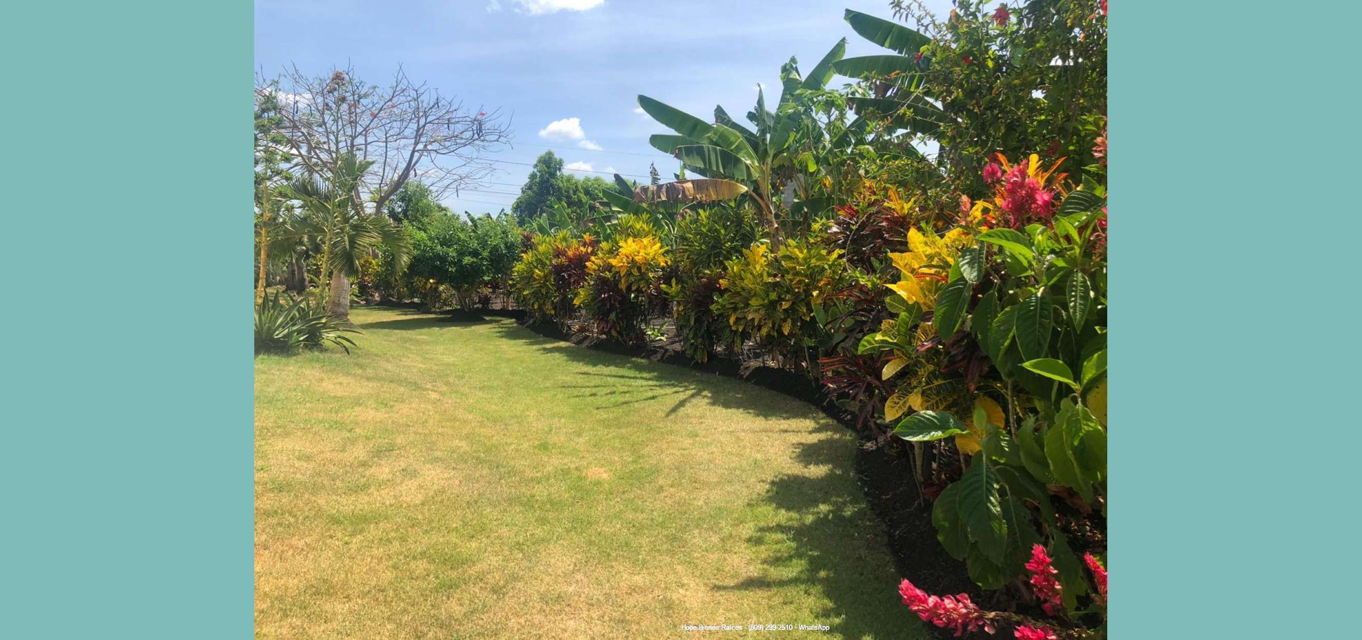 11Jardín