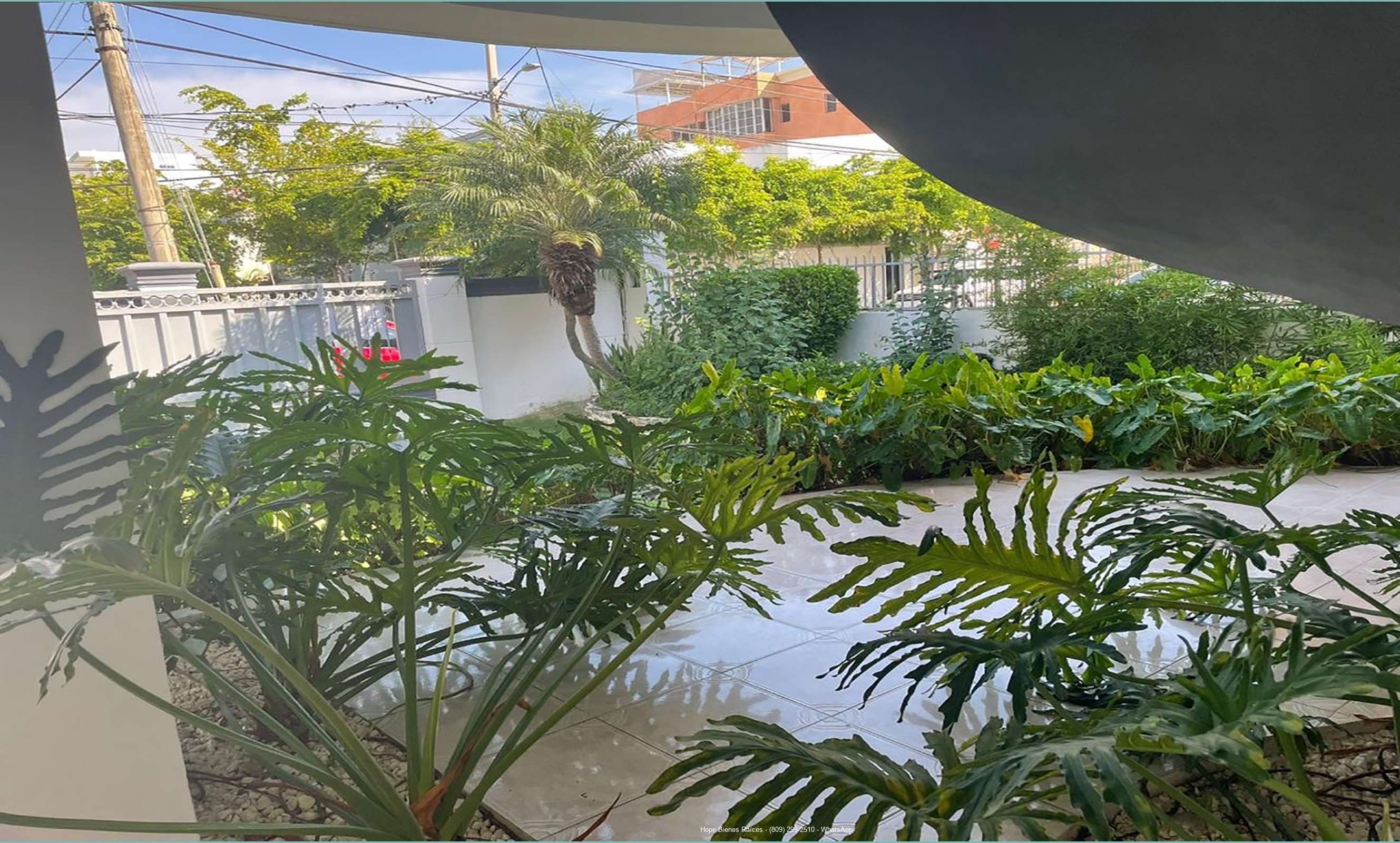 Patio frontal 2
