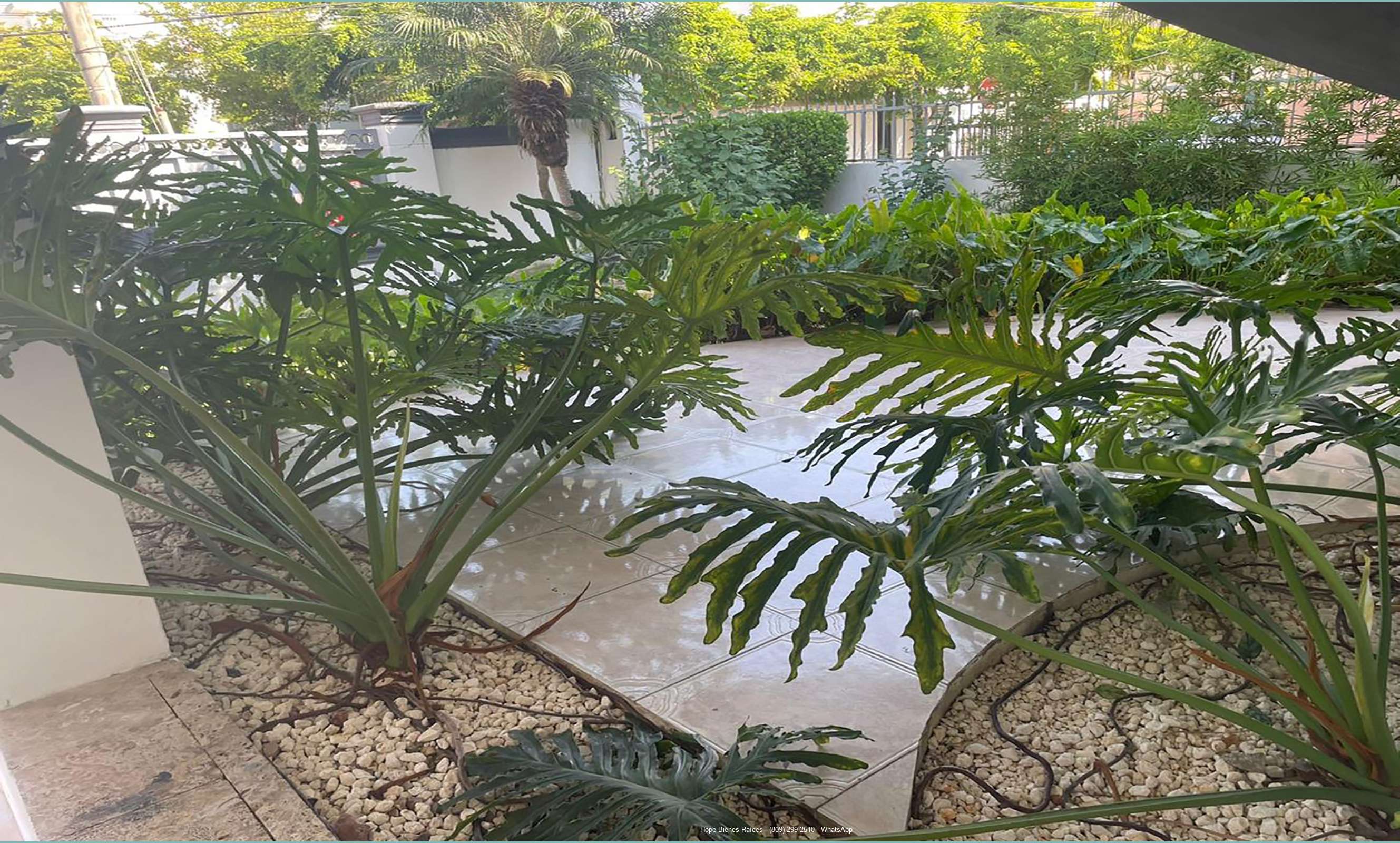 Patio frontal 3