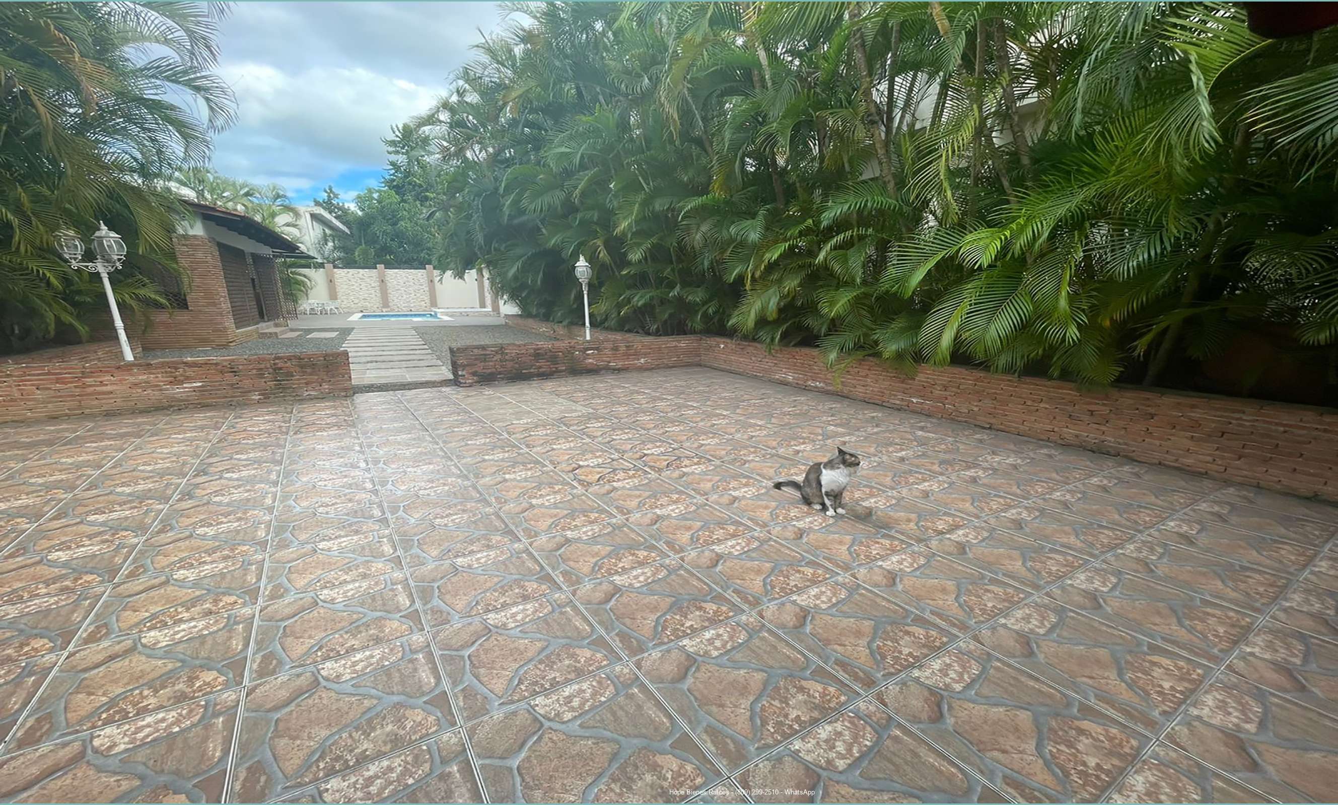 Patio 2