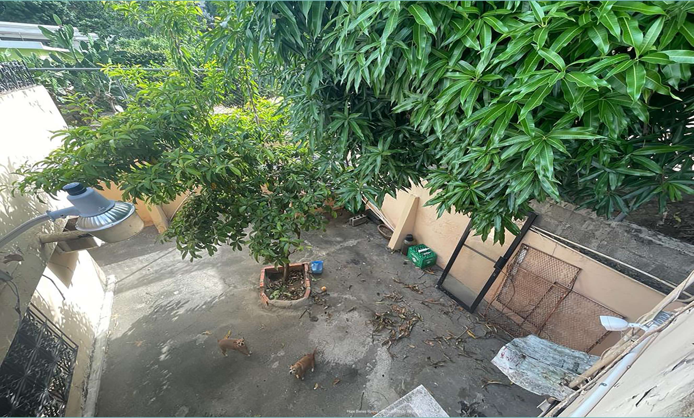 Patio