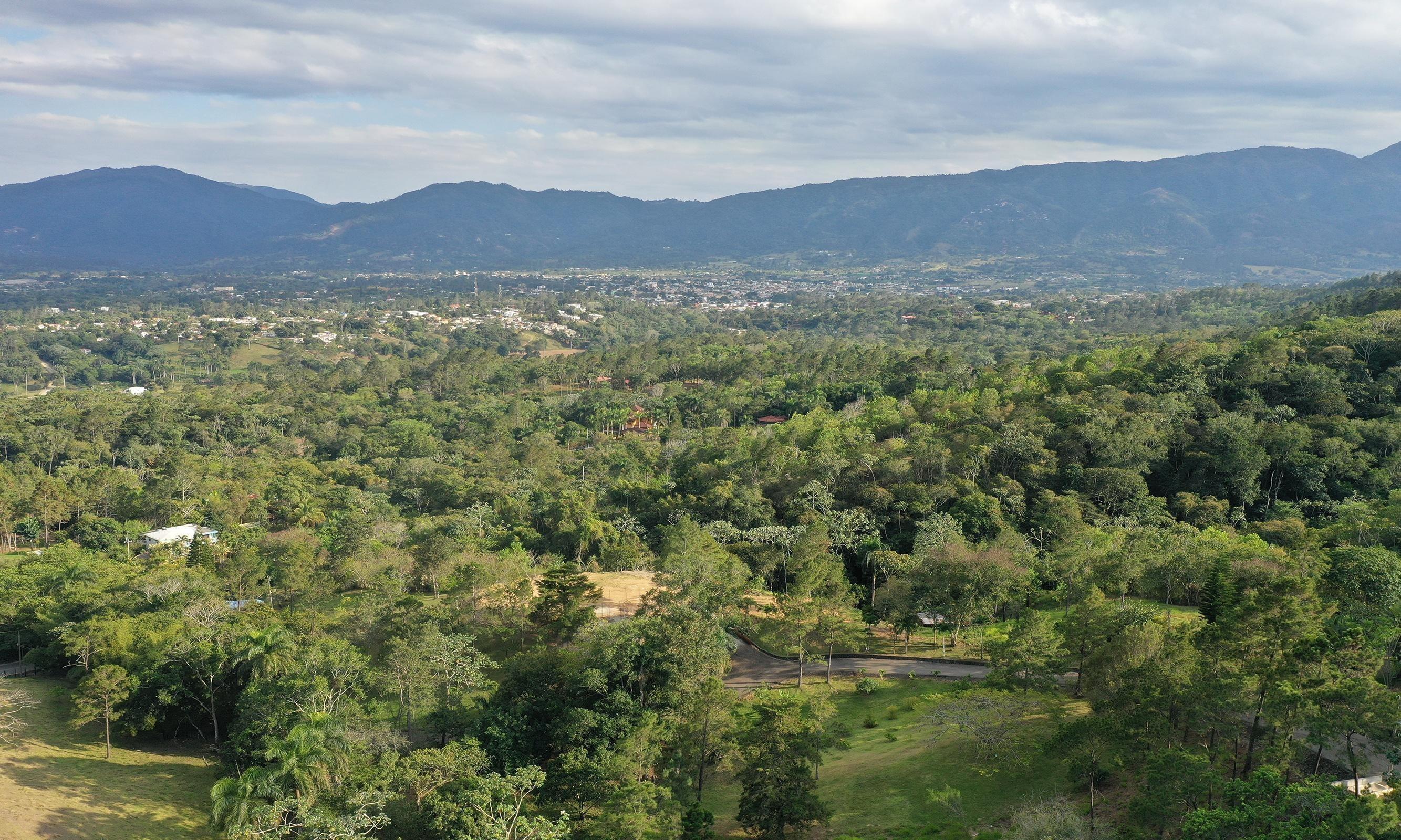 Vista de Lotes