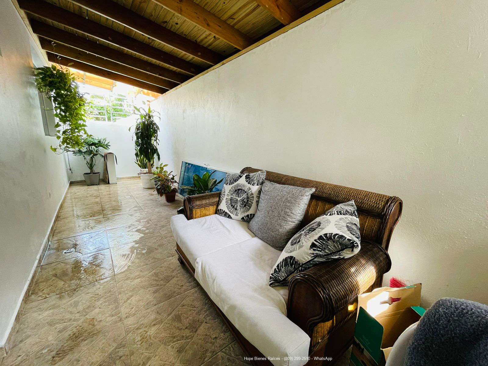 Patio 2