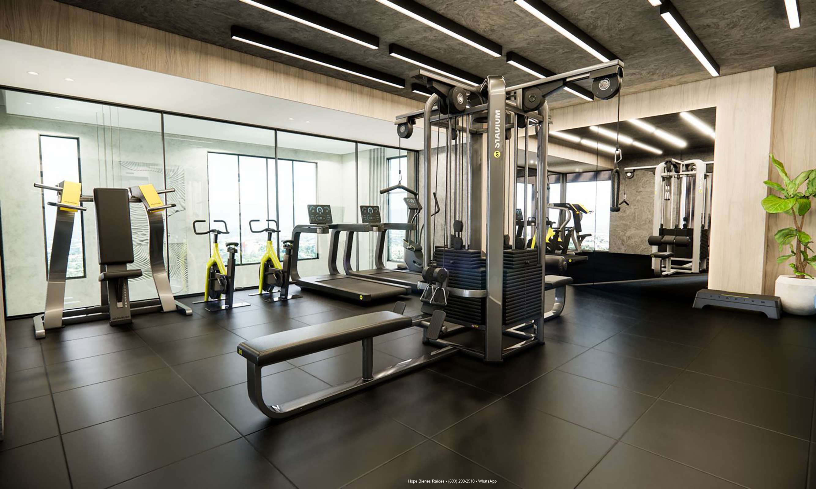 Gimnasio