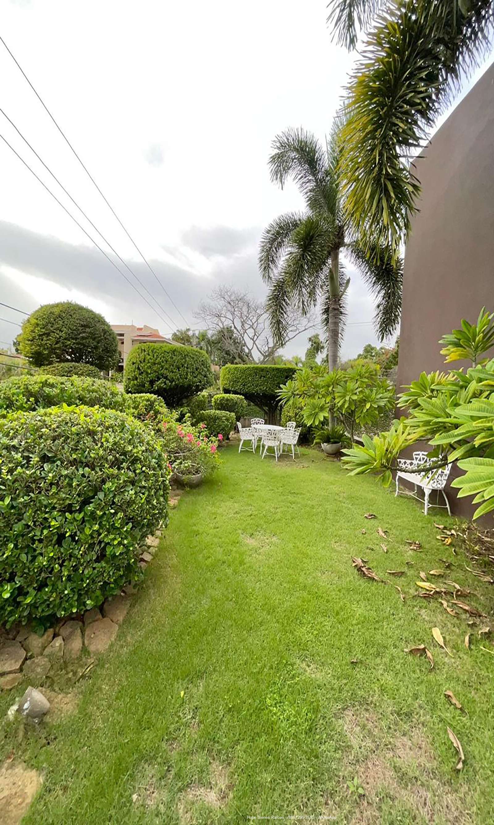 Patio Lateral 2