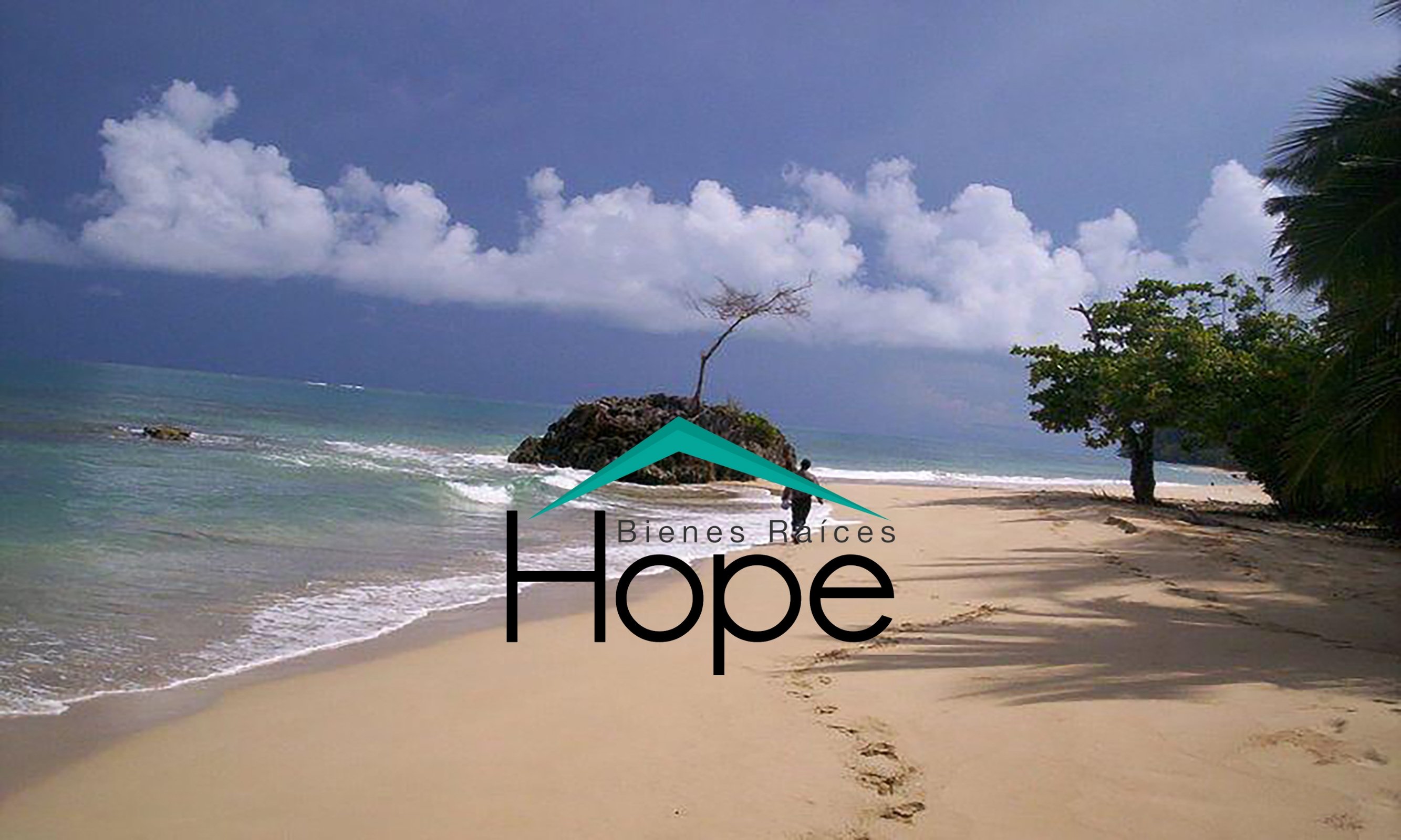 Vendo Terreno en Samaná a Borde de Playa
