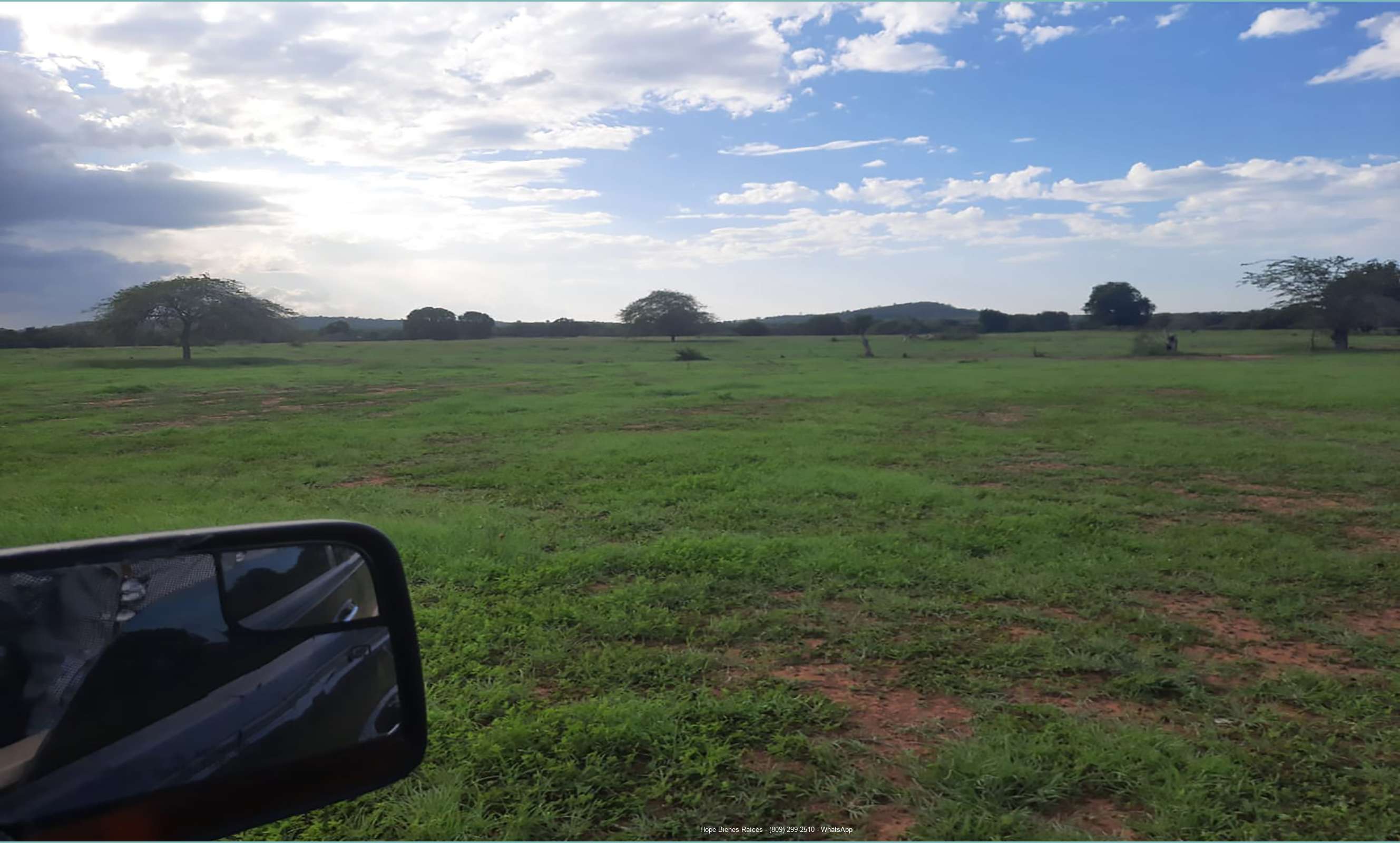 Copy: Vendo Finca Ganadera en Guayubín